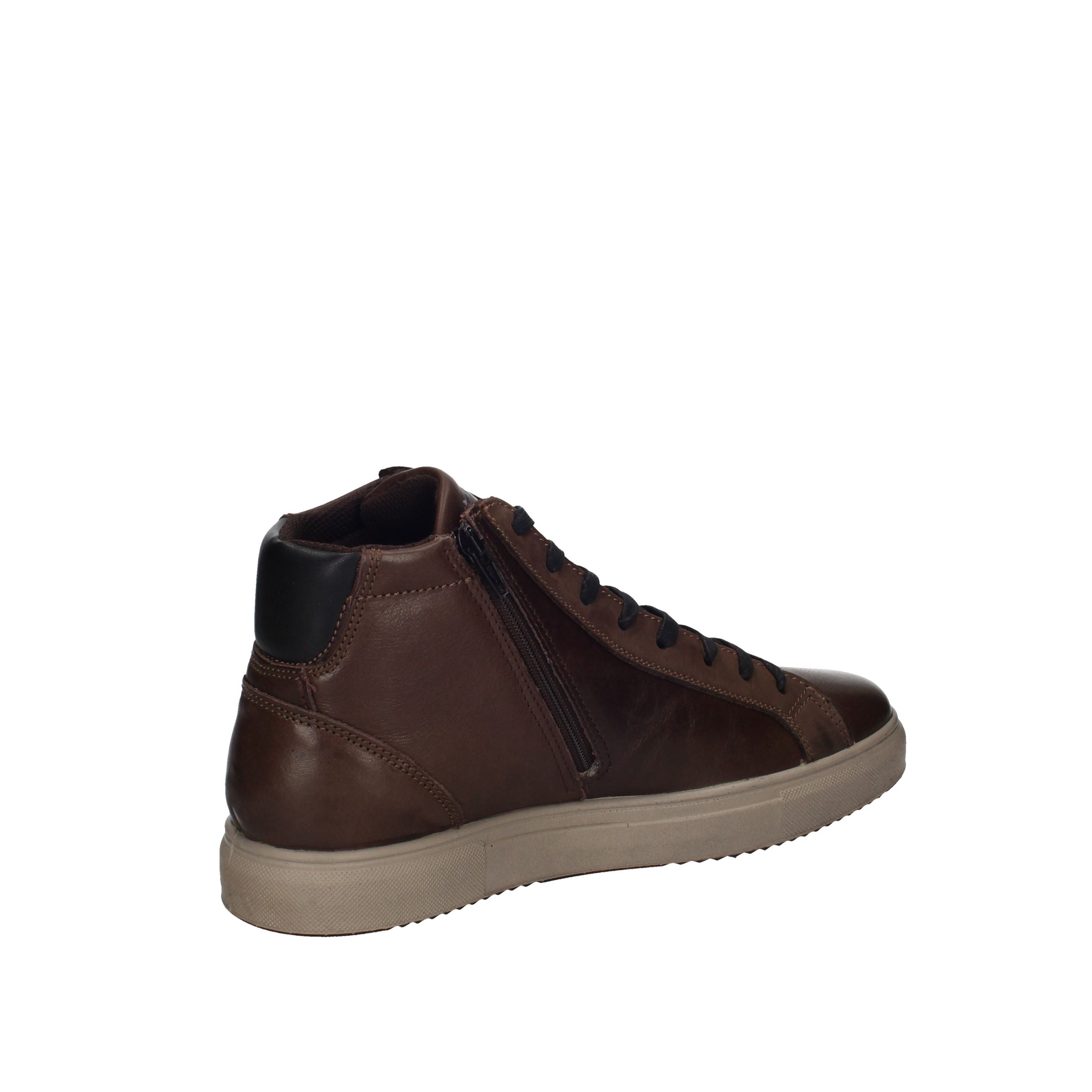 IGI&CO SACHA 2135422