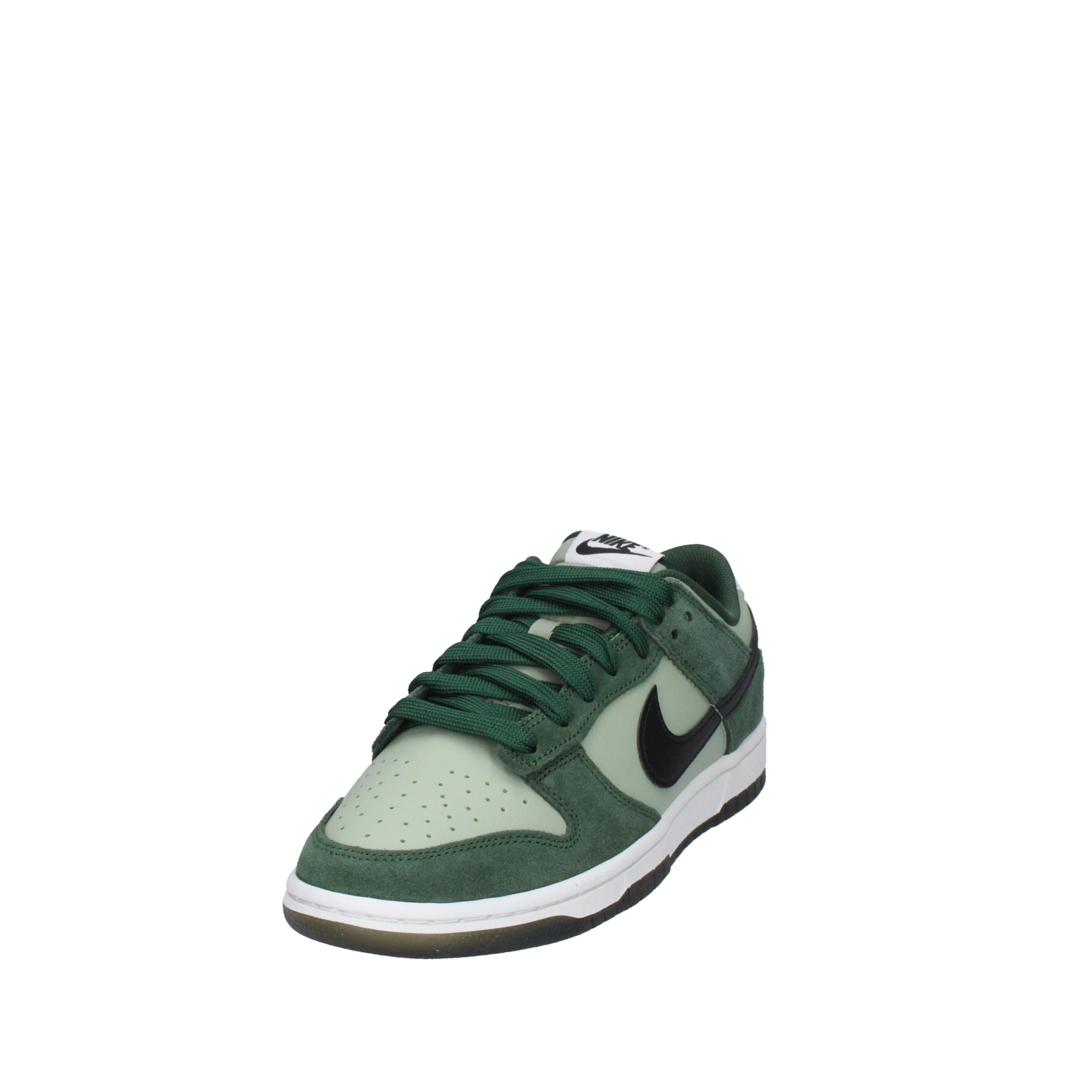 Nike DUNK LOW RETRO IB6399-301