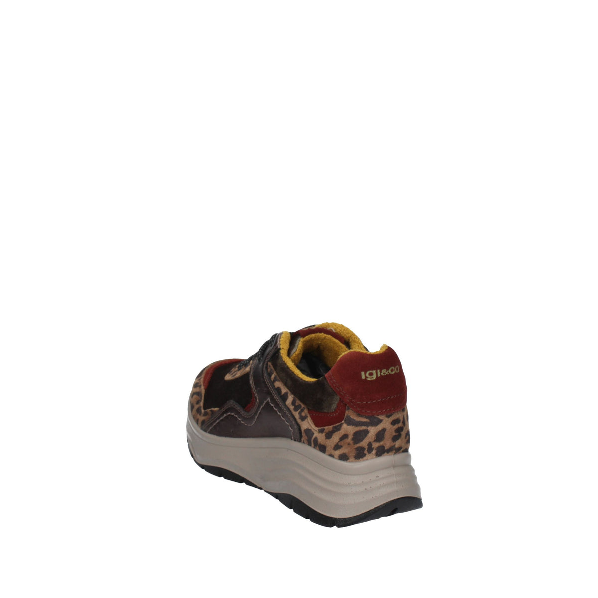 IGI&CO Scarpe 86826/33 TORTORA/VERDE