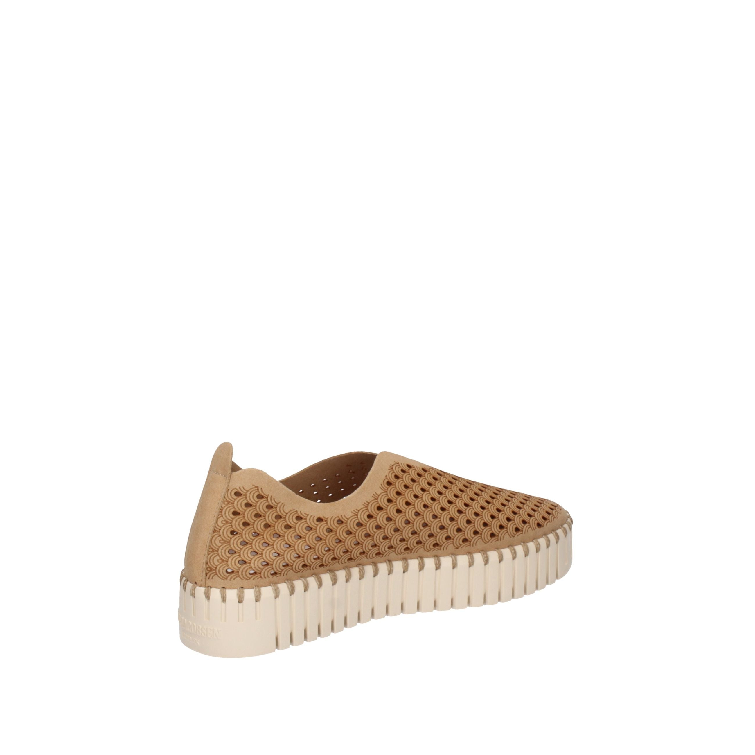 JACOBSEN  IJ.TULIP33373