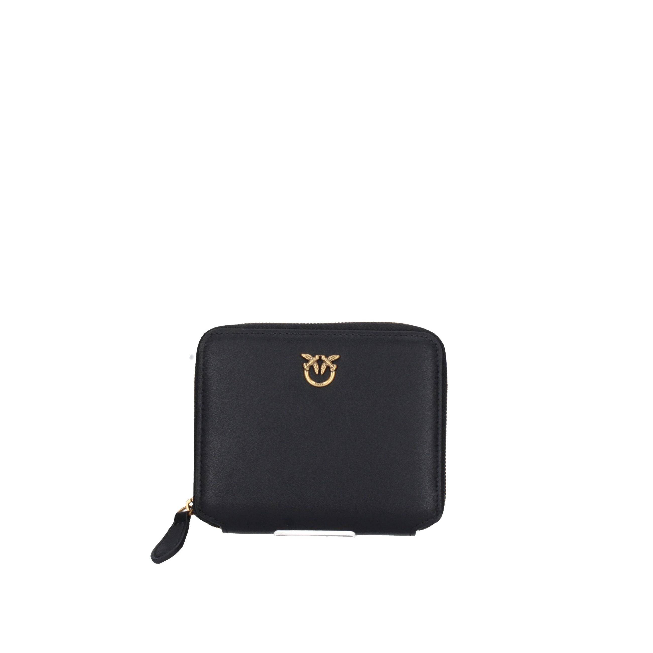 PINKO Piccola pelletteria 100249 A0F1 NERO