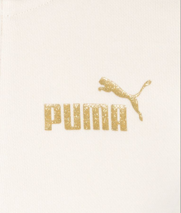 puma felpa Felpa Puma Metal Jr 684774-87
