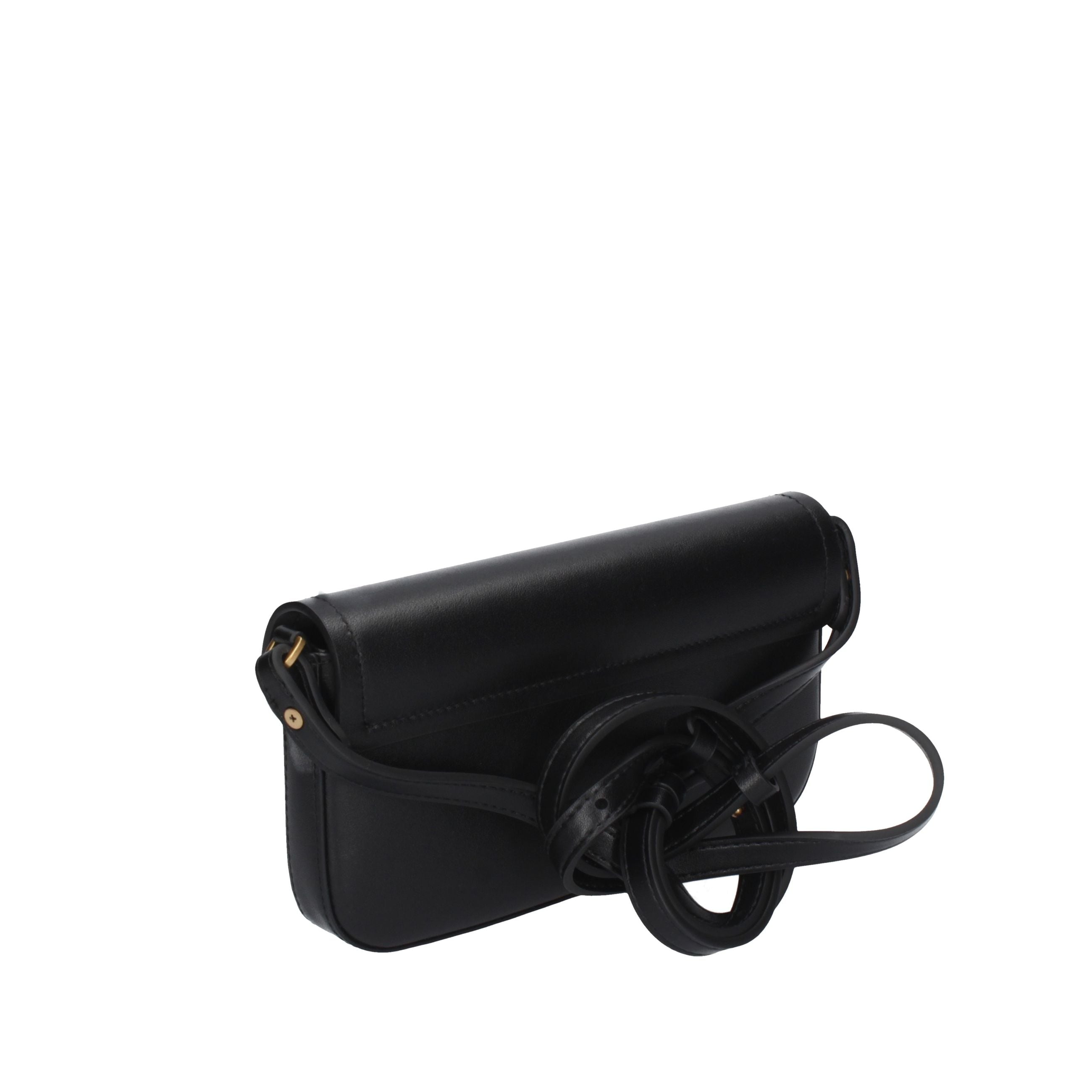 PINKO Piccola pelletteria 105349 A1ZX NERO