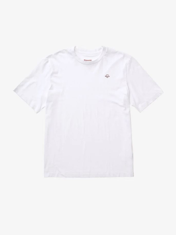 BLAUER ERROL LUH02300-007439