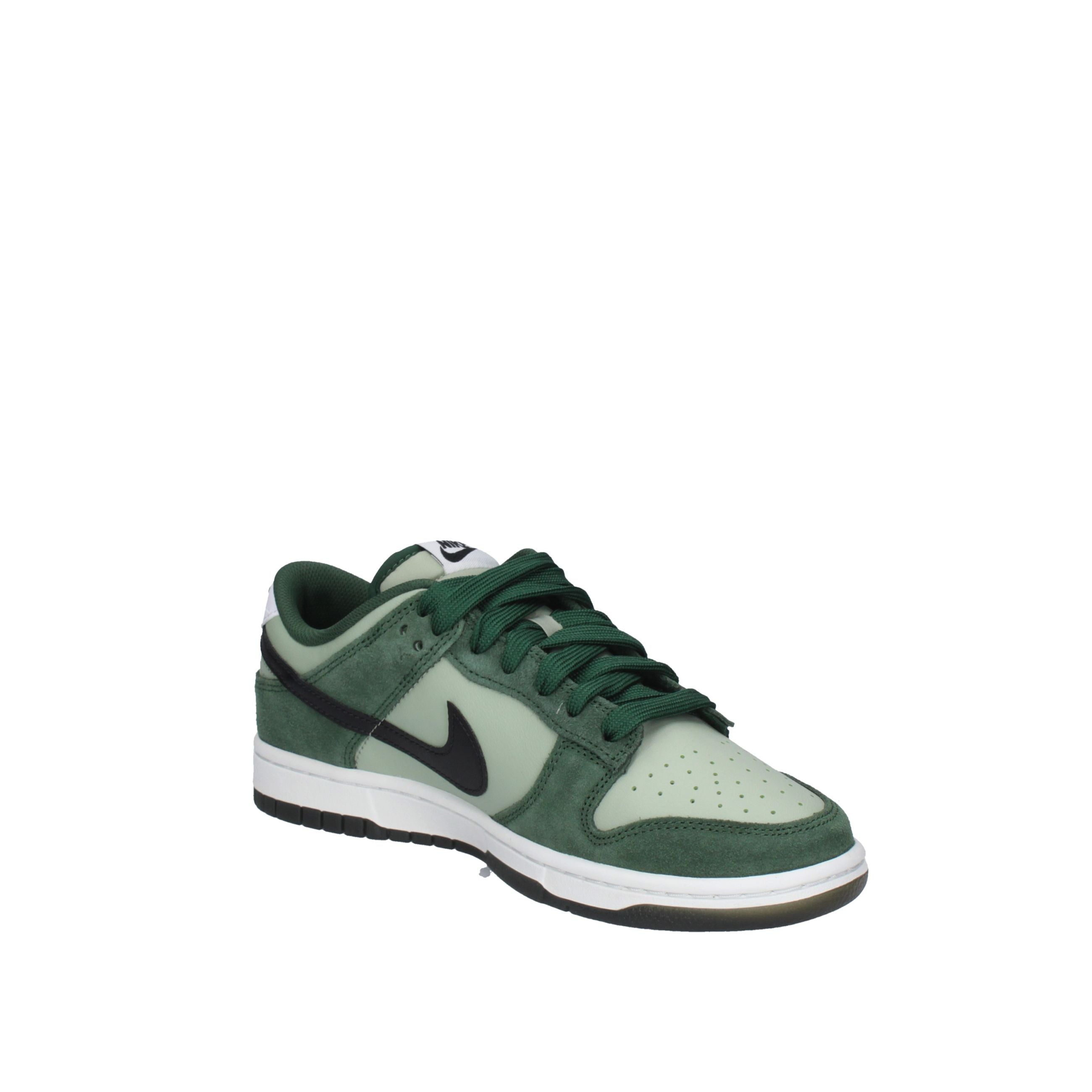 Nike DUNK LOW RETRO IB6399-301