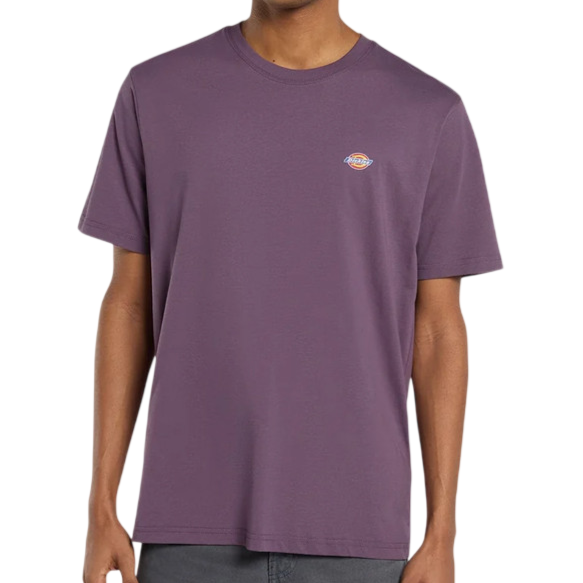 Dickies MAPLETON SS TEE DK0A4XDBL791