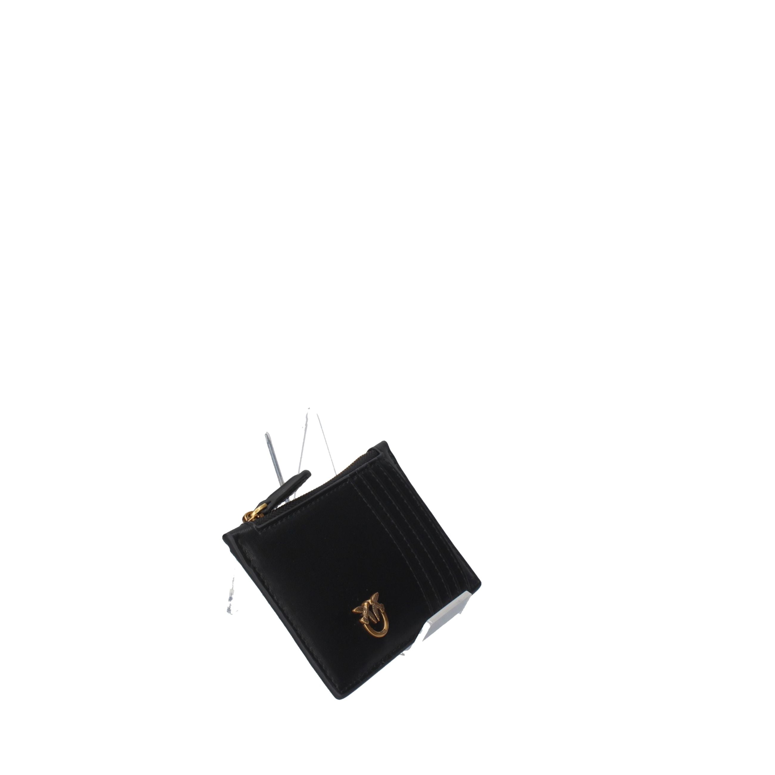 PINKO AIRONE CARDHOLDER VITELLO 100251-A0F1
