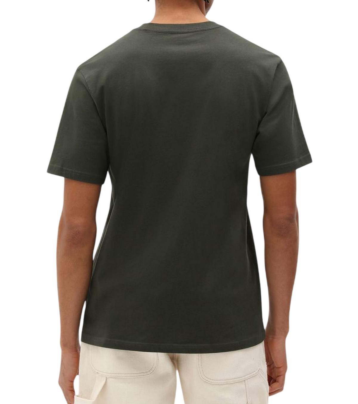 Dickies MAPLETON SS TEE DK0A4XDBOGX1