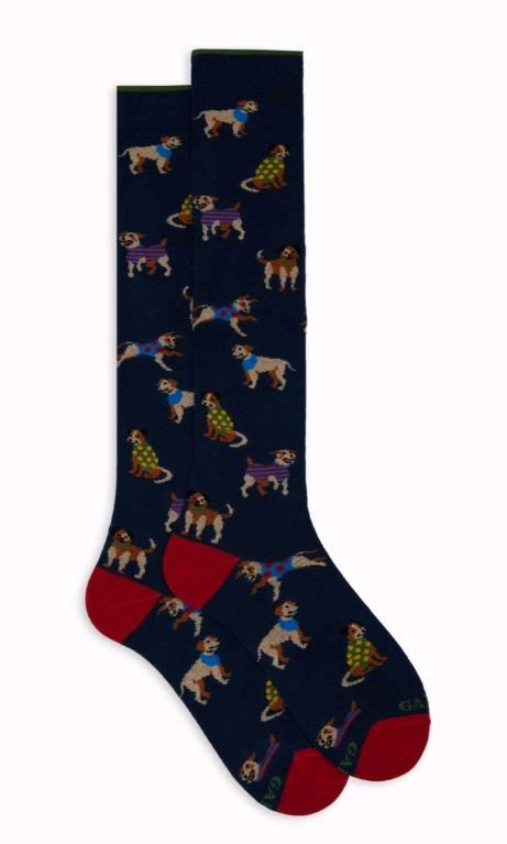 gallo calzino ap515283