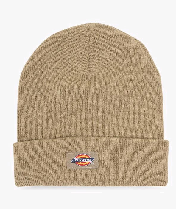 dickies cappellino dk0a4x7k0ip1