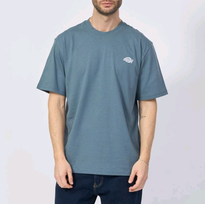 Dickies  DK0A4YAIG701 Blu Cenere