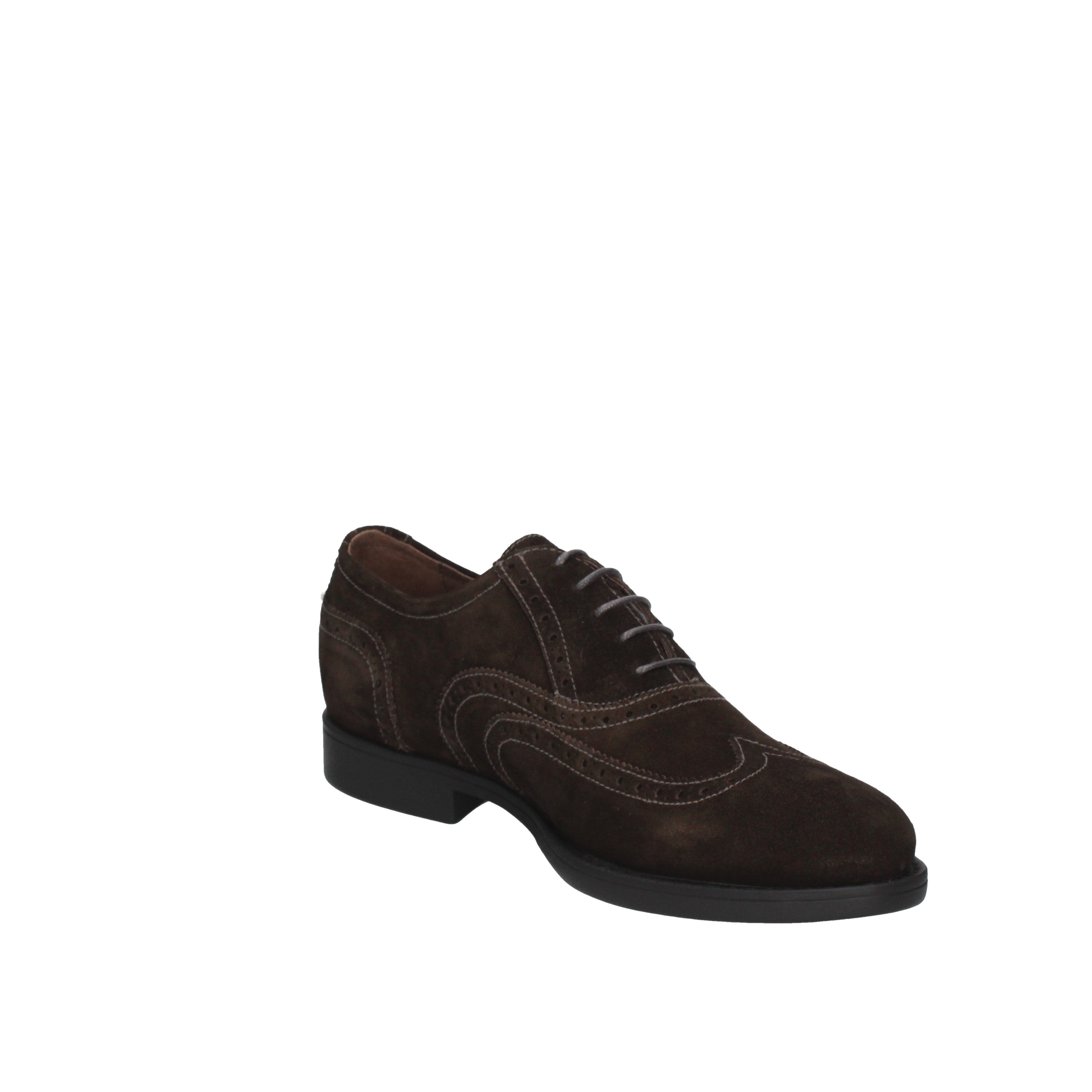 nero giardini stringata modello dover antracite a503591u