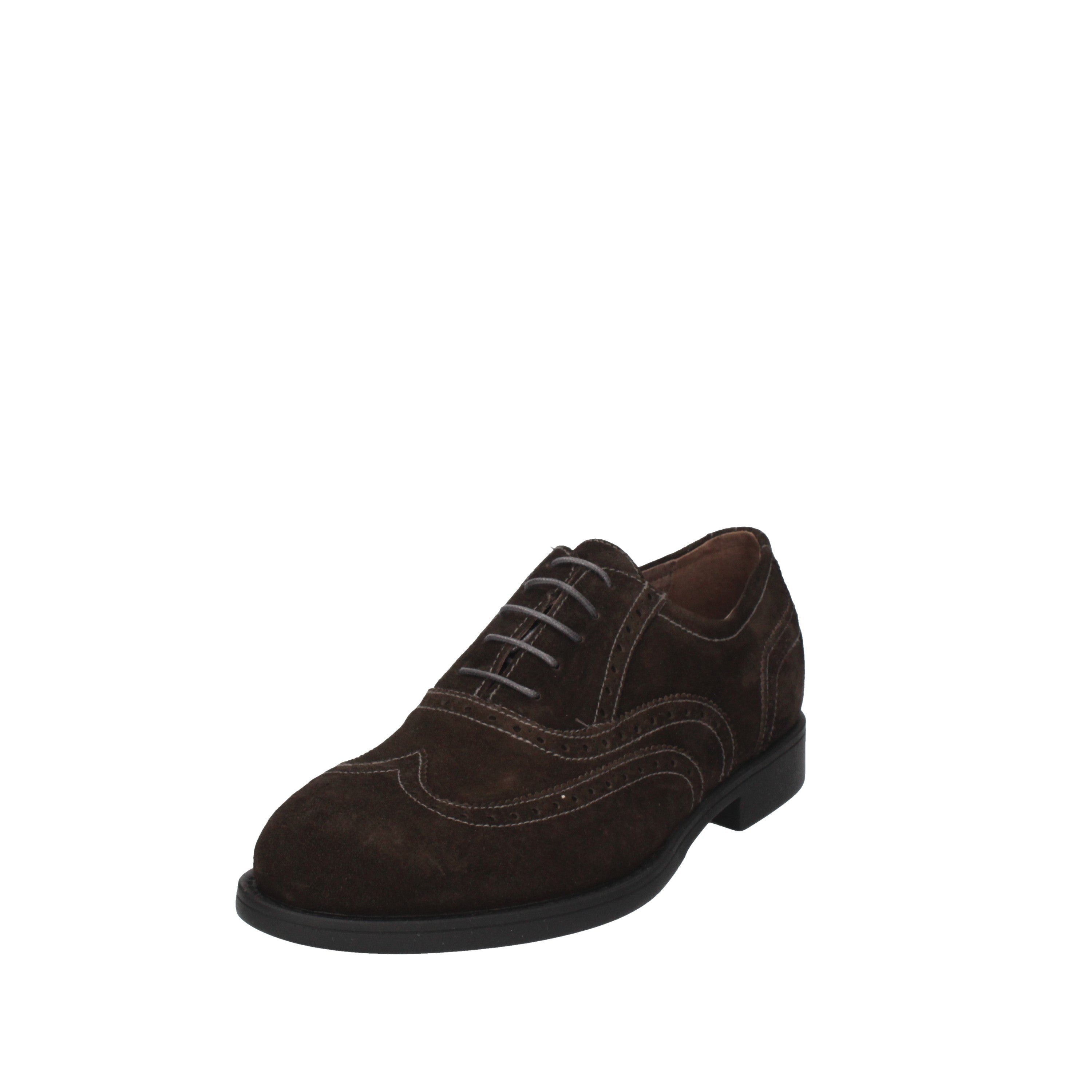 nero giardini stringata modello dover antracite a503591u