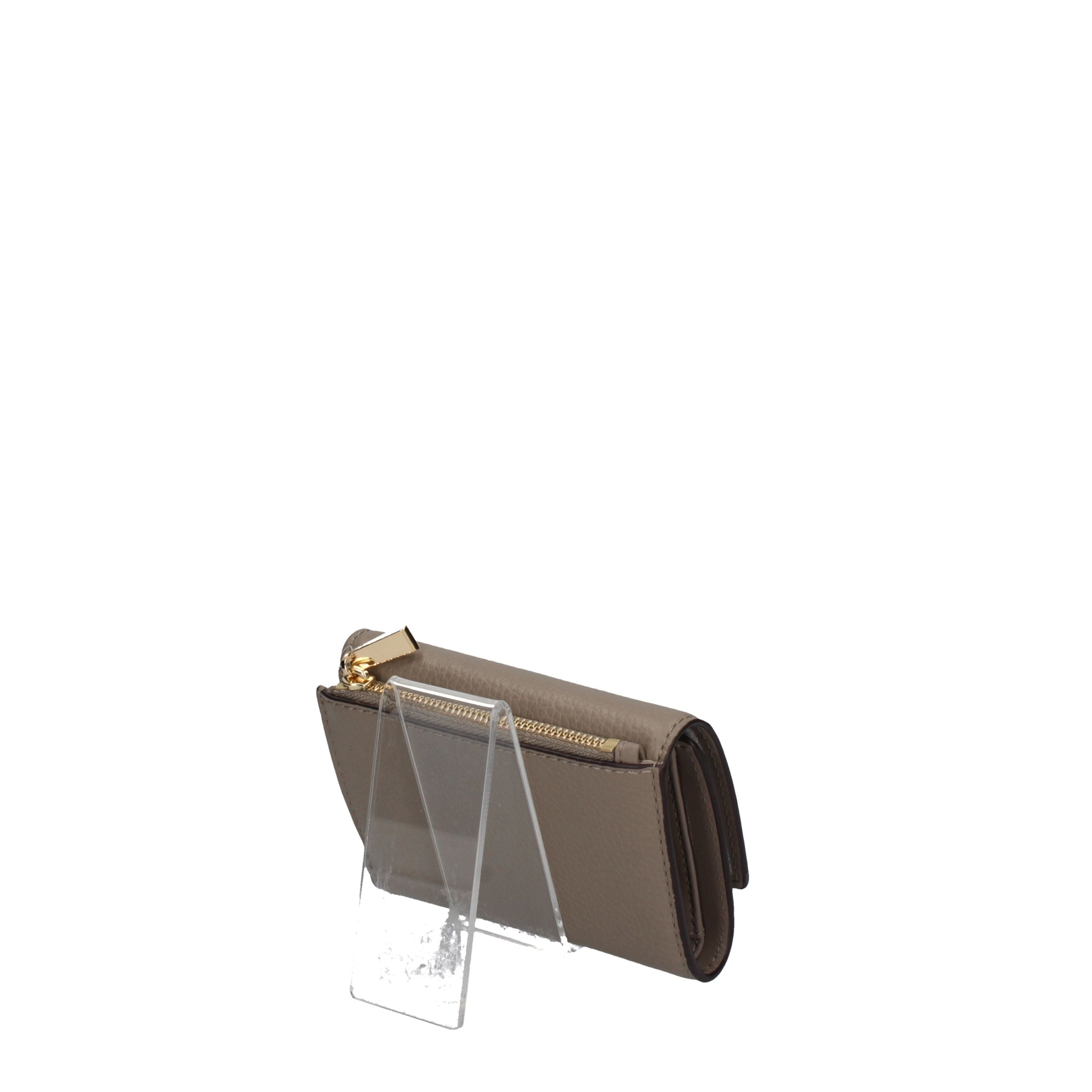 MICHAEL KORS MONEY PIECES 32S5GYTP1L BIRCH