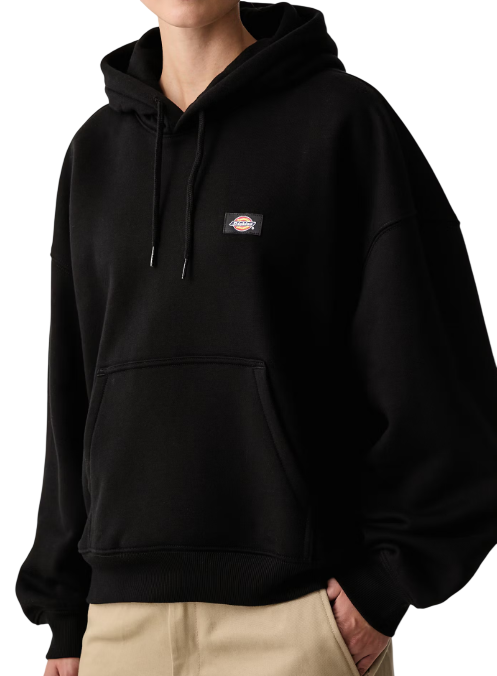Dickies AKPORT HODDIE DK0A8E35BLK1