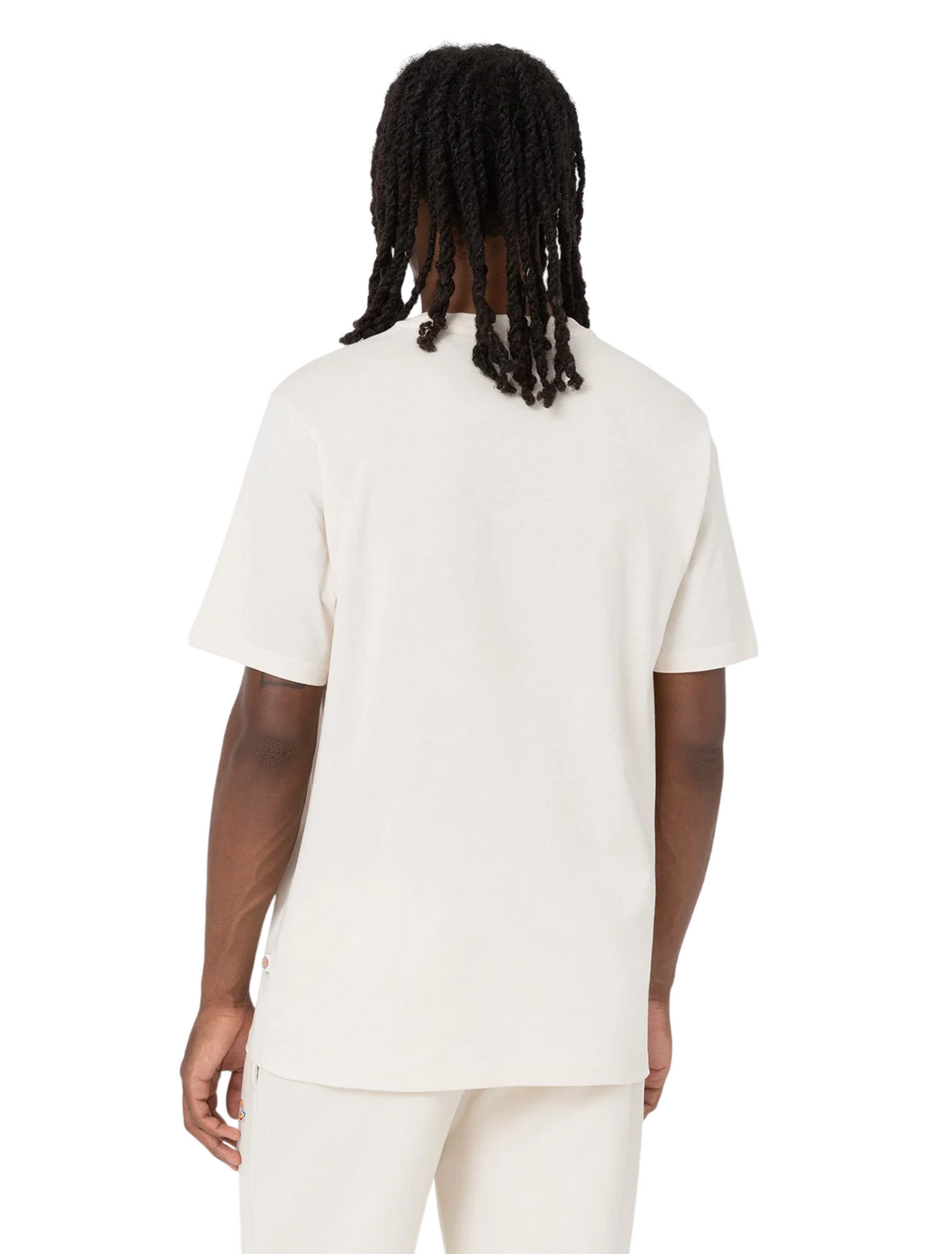 Dickies MAPLETON SS TEE DK0A4XDBF901
