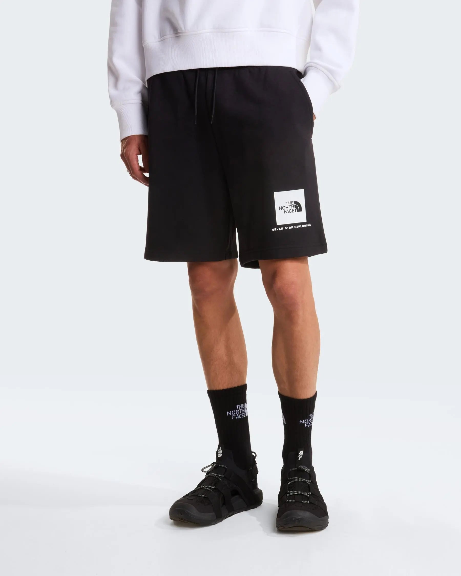 The North Face BOX NSE LIGHT REGULAR SHORTS NF0A8GQ8JK3