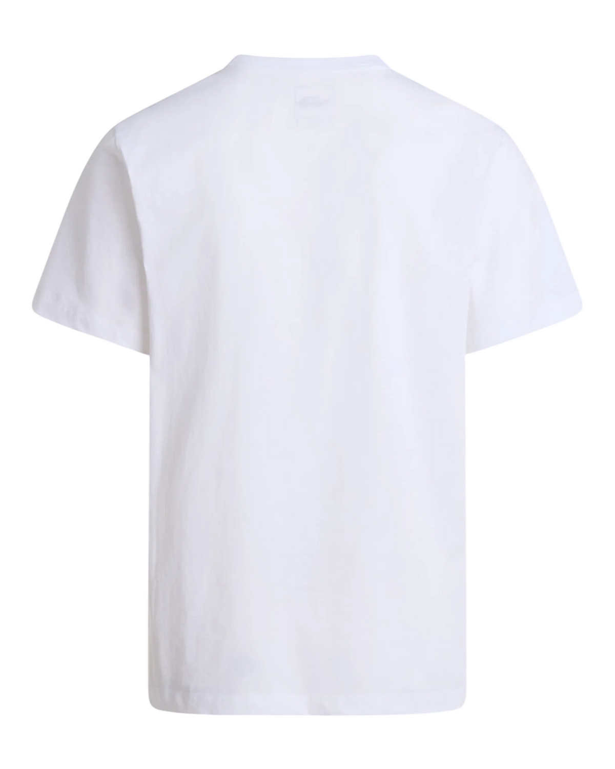 The North Face M EVO SD REGULAR SS TEE NF0A8CZ2FN4
