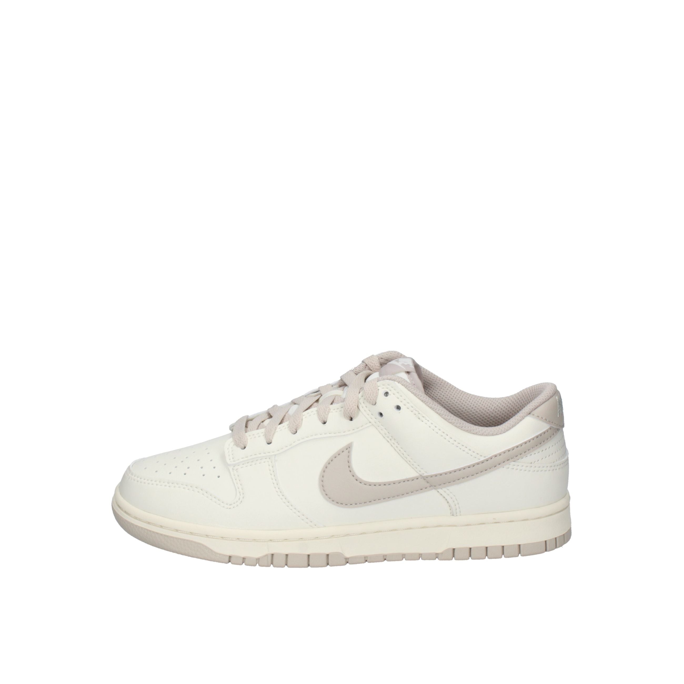 Nike DUNK LOW RETRO HF5441-007