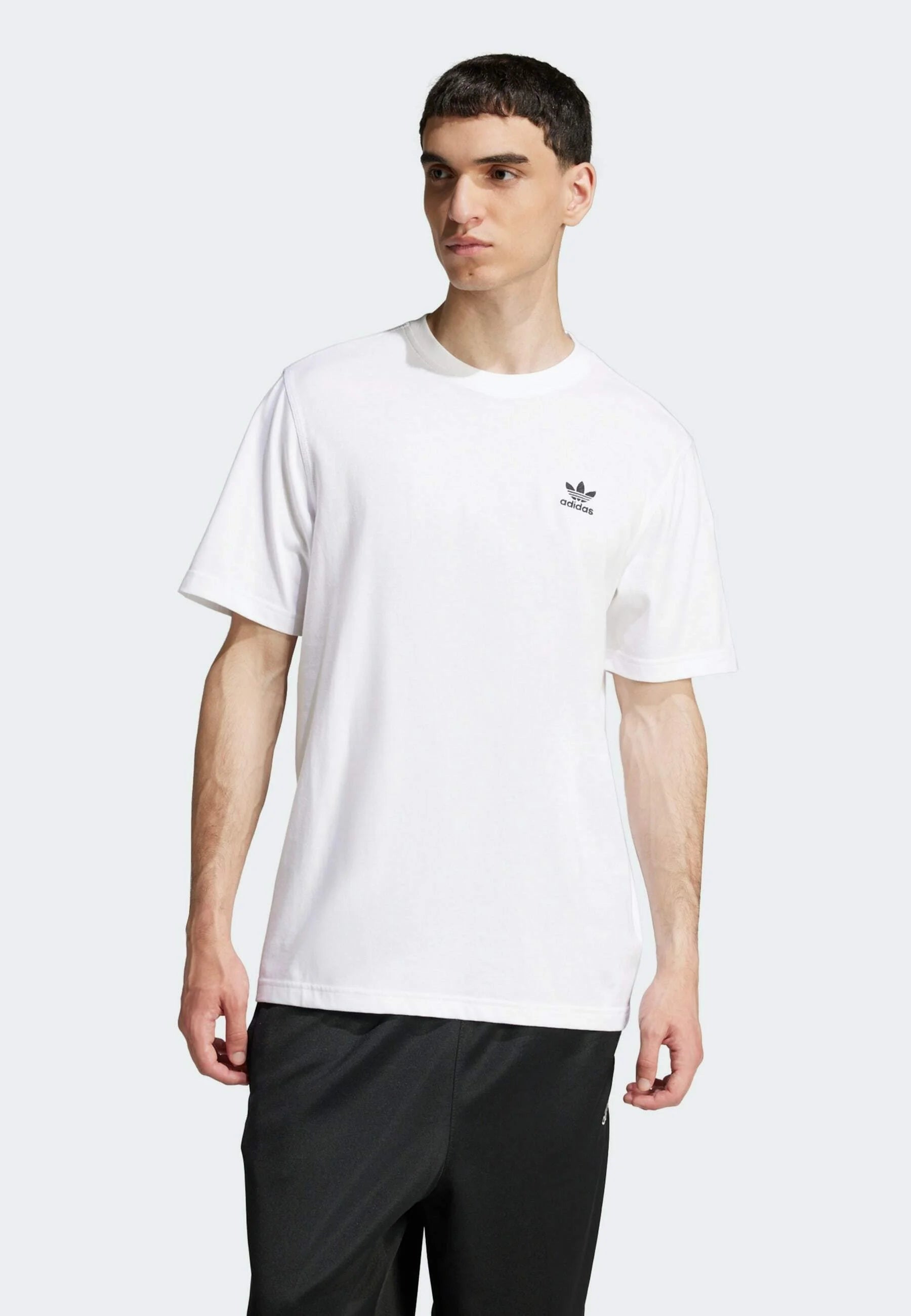 Adidas TREFOIL ESS TEE JI8544