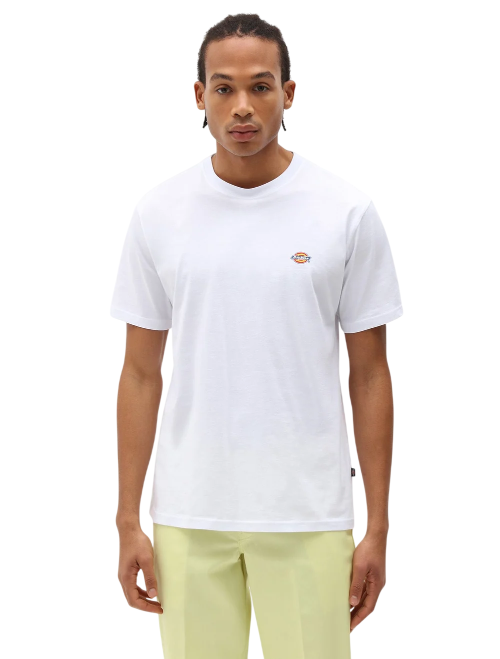 Dickies MAPLETON SS TEE DK0A4XDBWHX