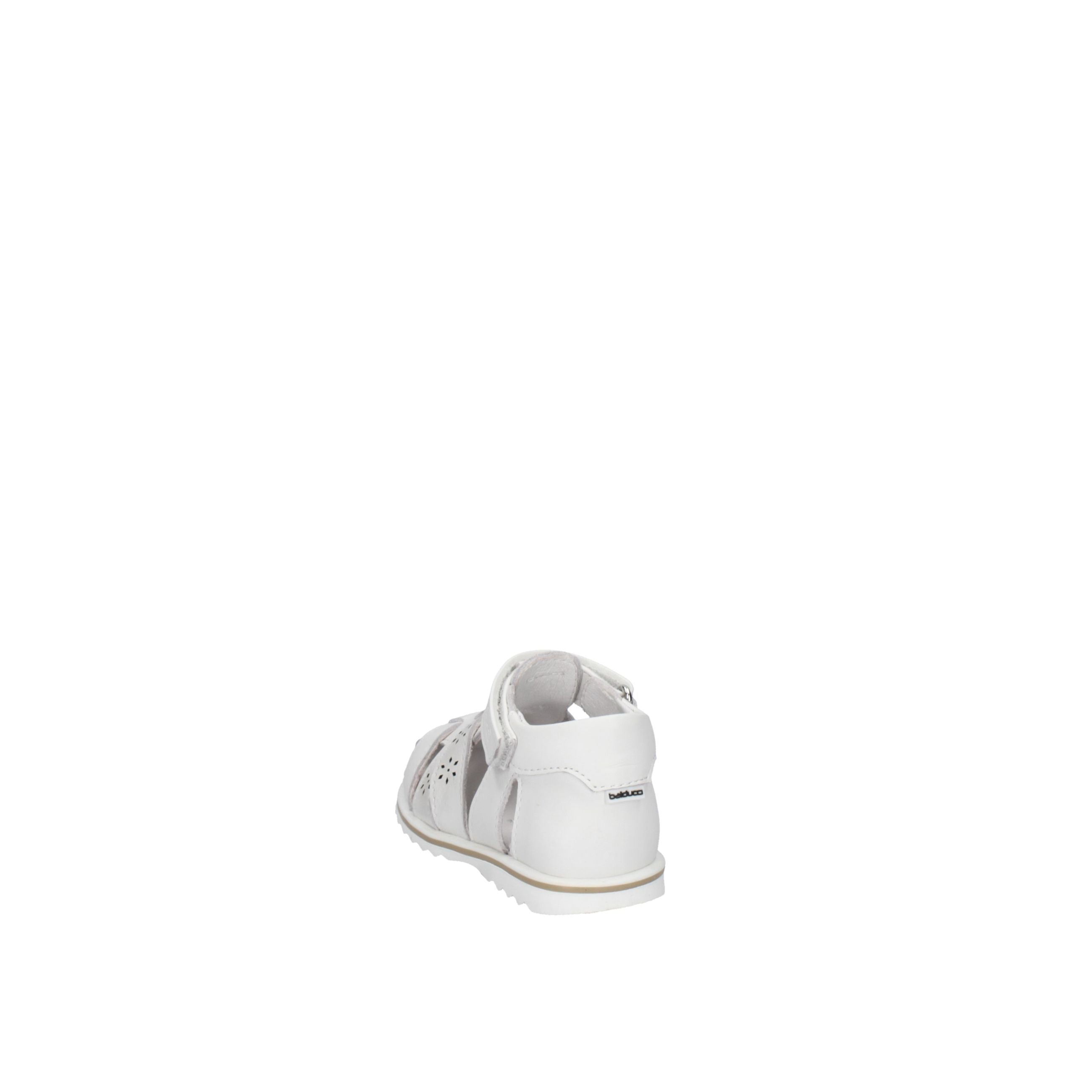 BALDUCCI  CITA7367