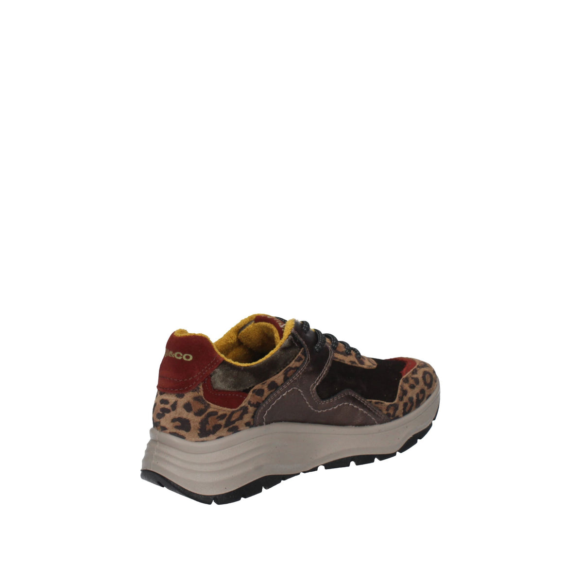 IGI&CO Scarpe 86826/33 TORTORA/VERDE