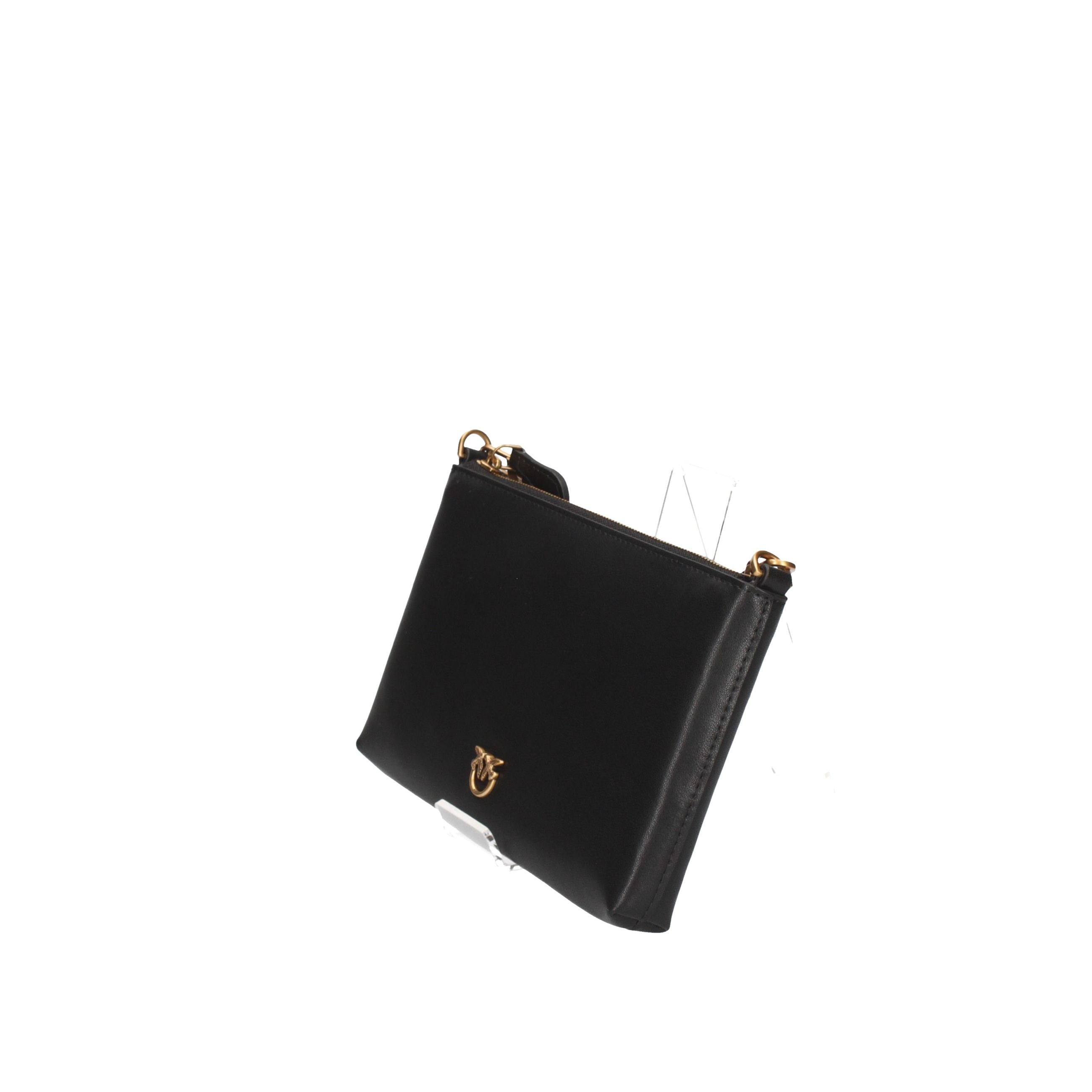 PINKO Piccola pelletteria 104277 A0F1 NERO