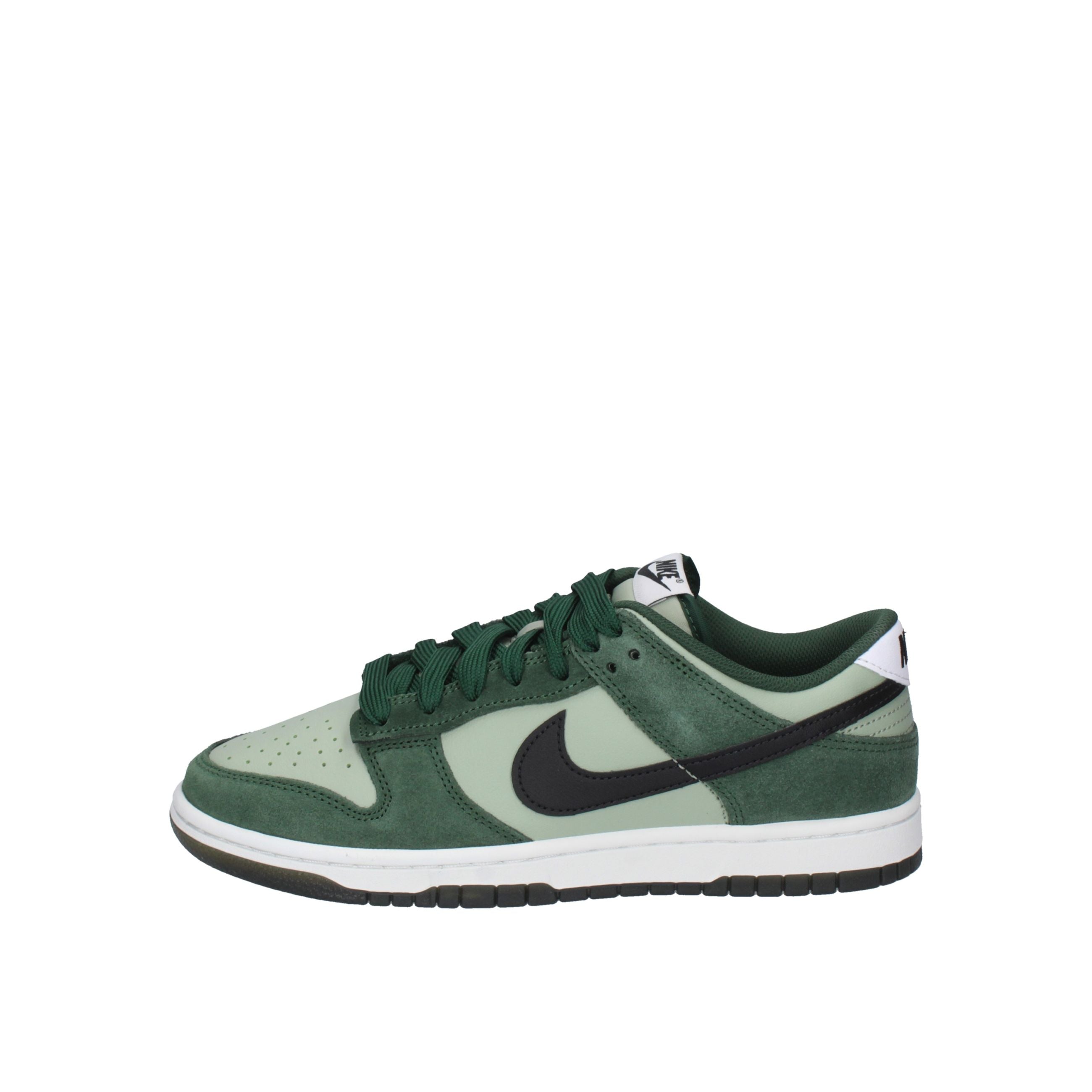 Nike DUNK LOW RETRO IB6399-301