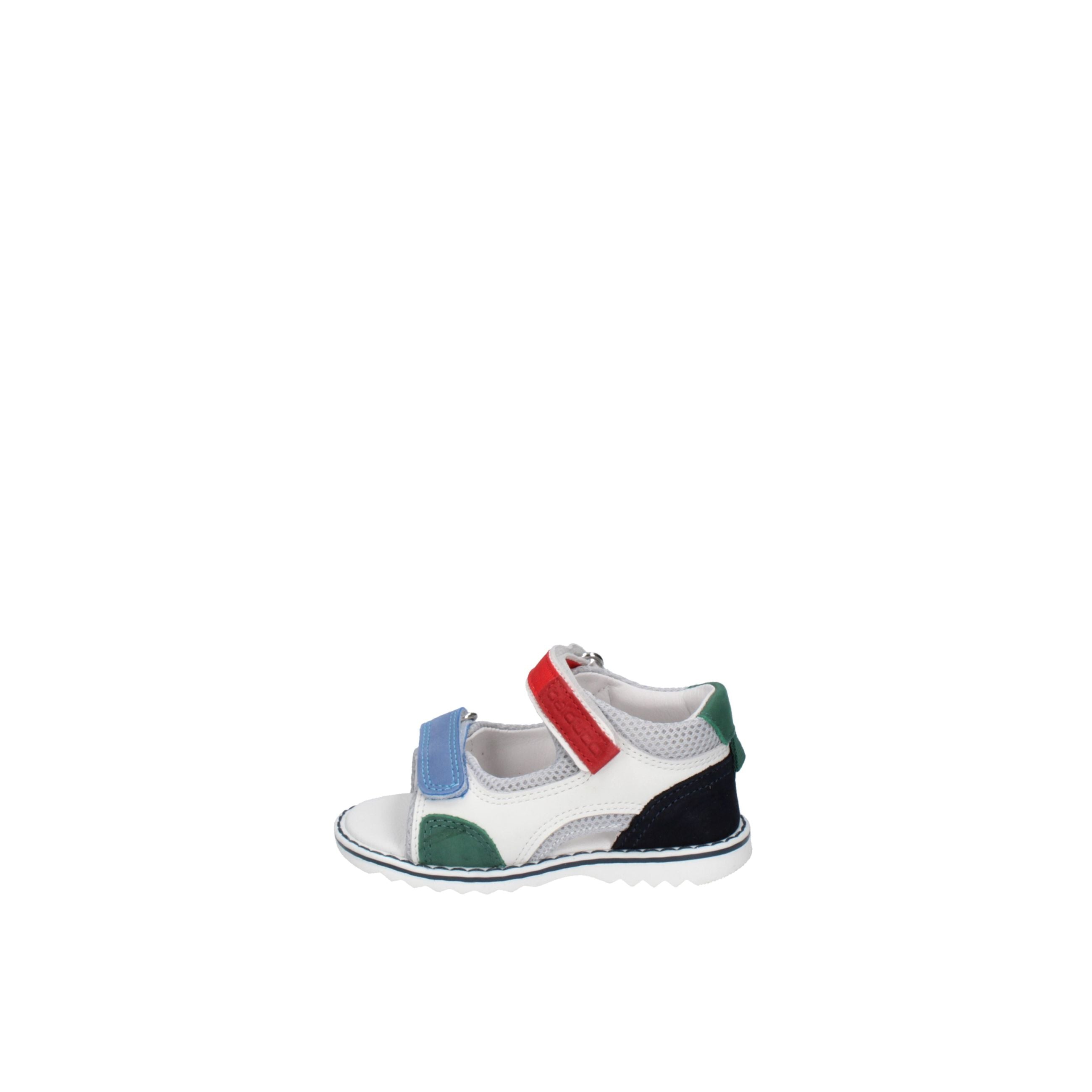 BALDUCCI  CITA7369