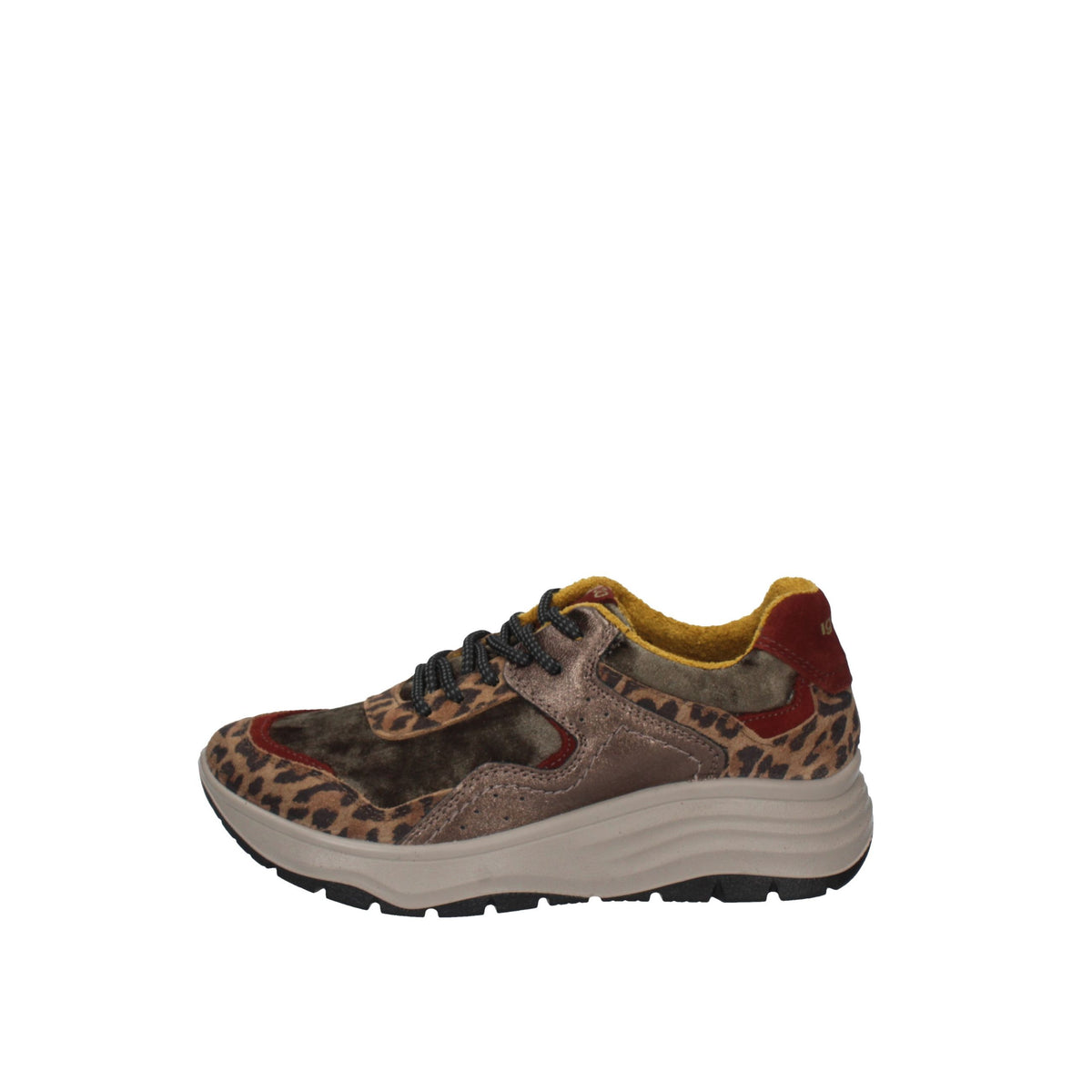 IGI&CO Scarpe 86826/33 TORTORA/VERDE