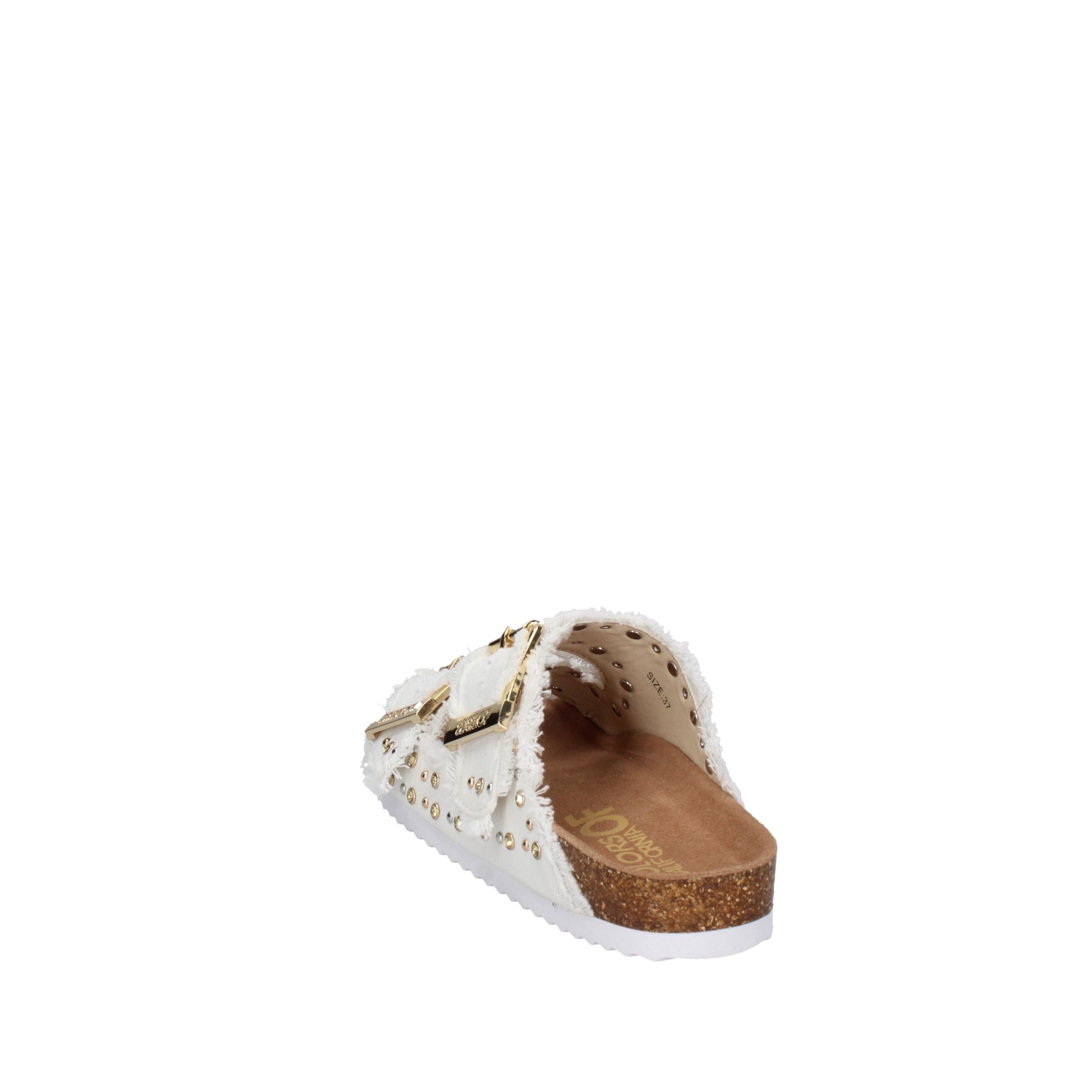 COLORS OF CALIFORNIA  HC.BIO406NN