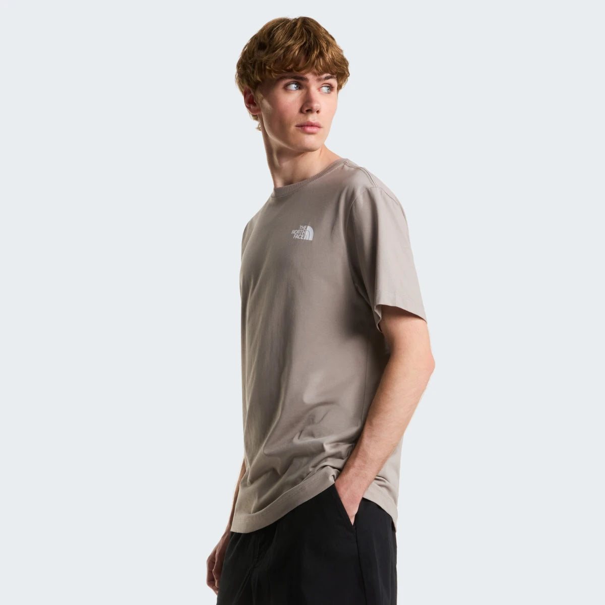 The North Face EVOLUTION BOX NSE REGULAR SS NF0A8B6K2MB