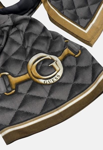 GUESS FRANCES AW5656 POL03