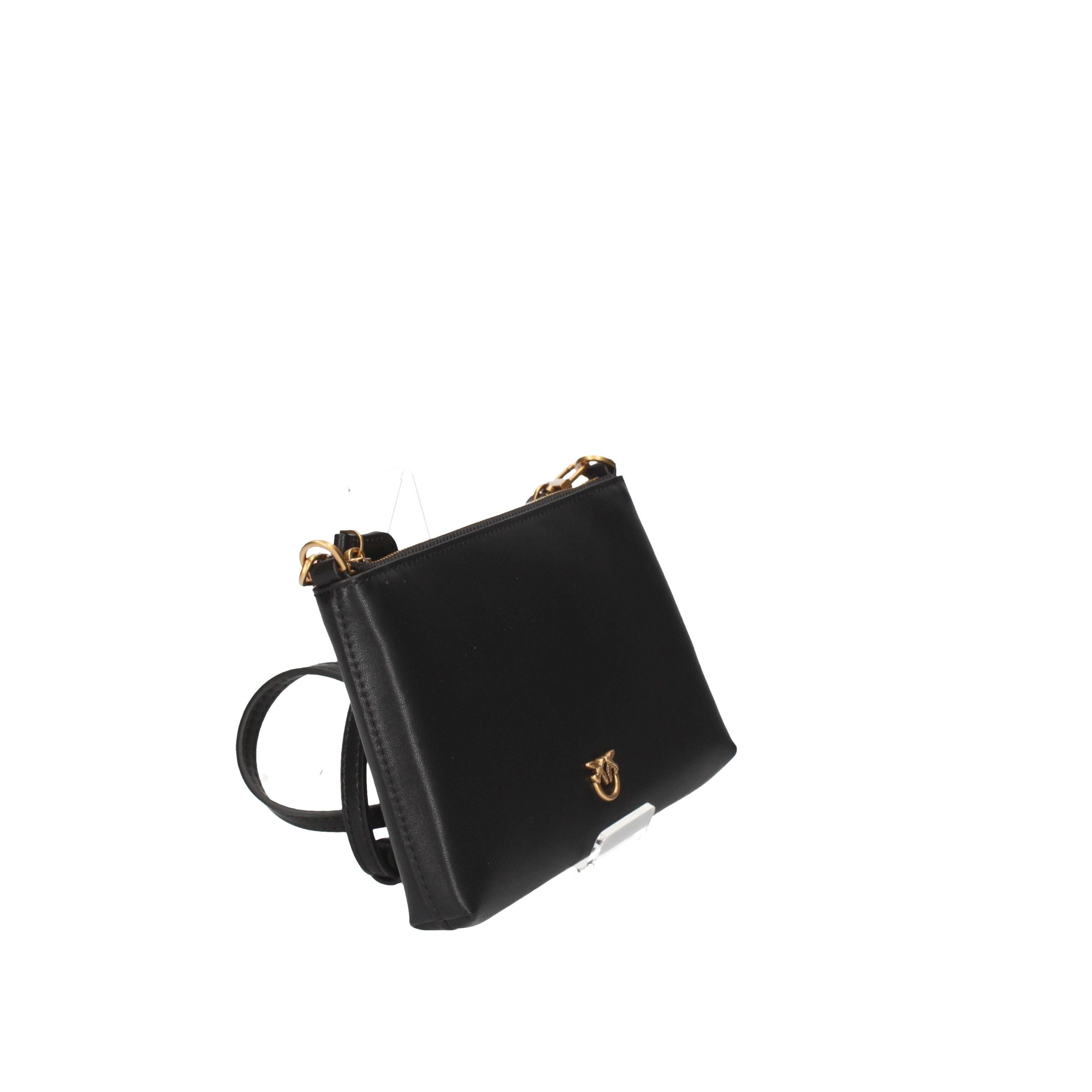 PINKO Piccola pelletteria 104277 A0F1 NERO