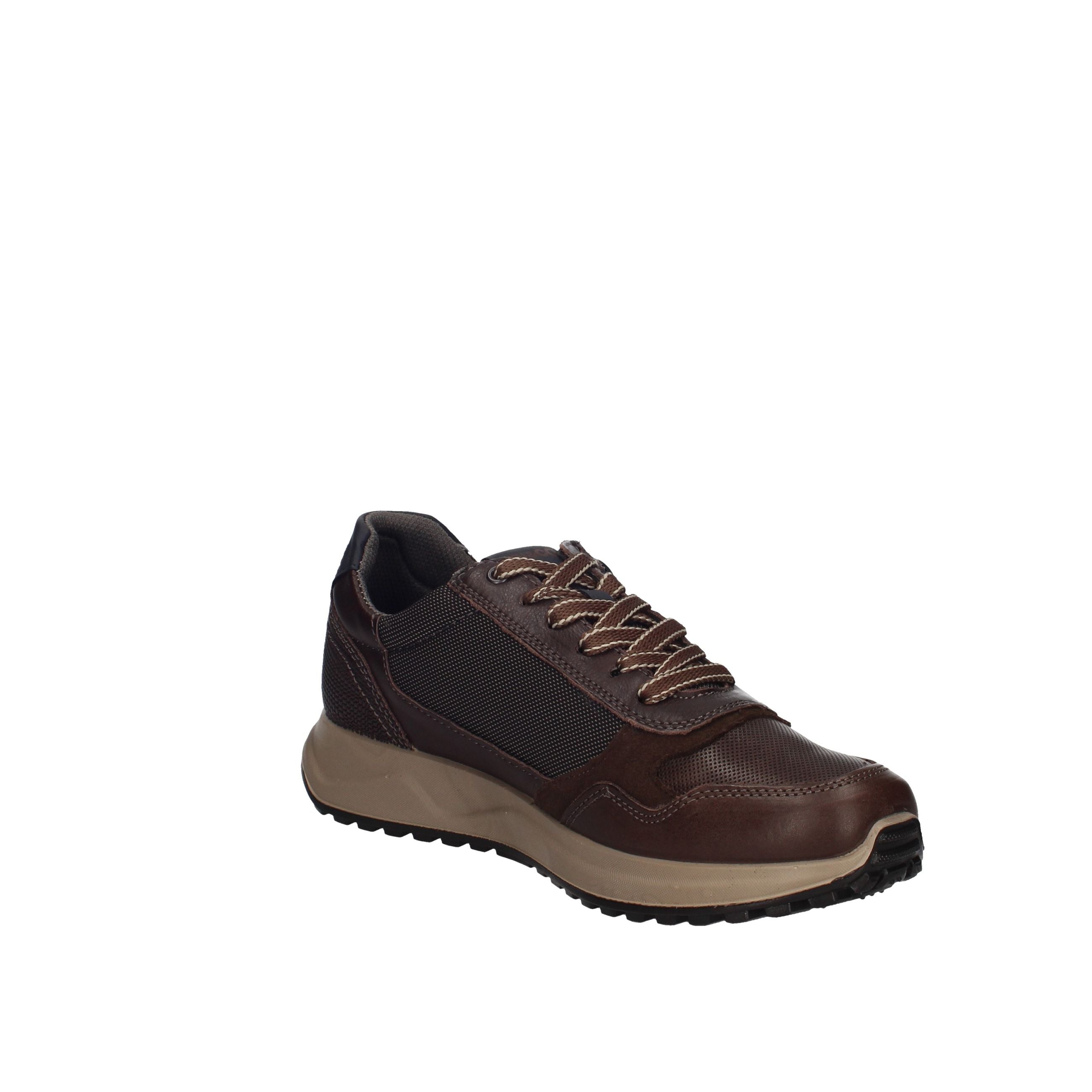 IGI&CO SARONNO 2138311