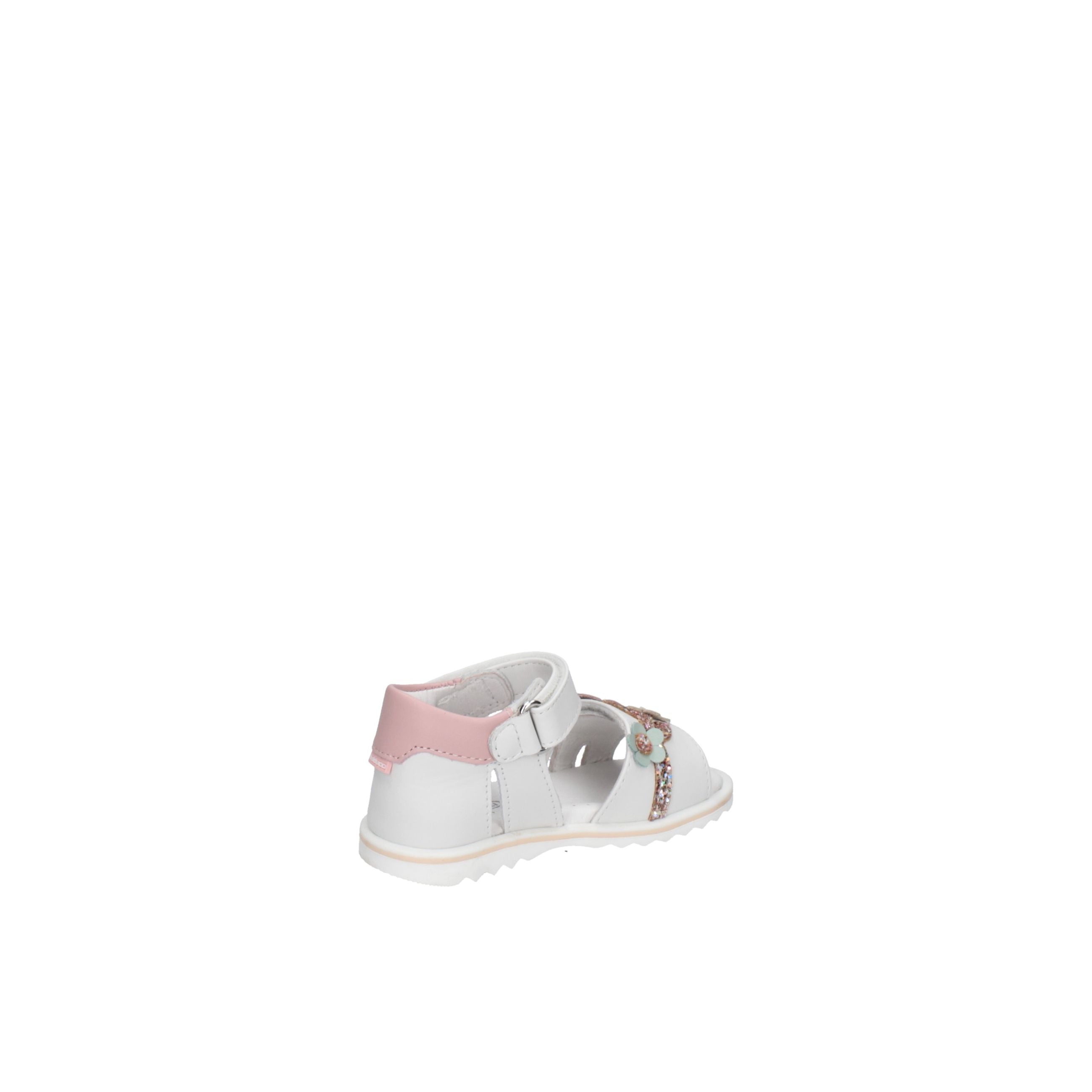 BALDUCCI  CITA7366