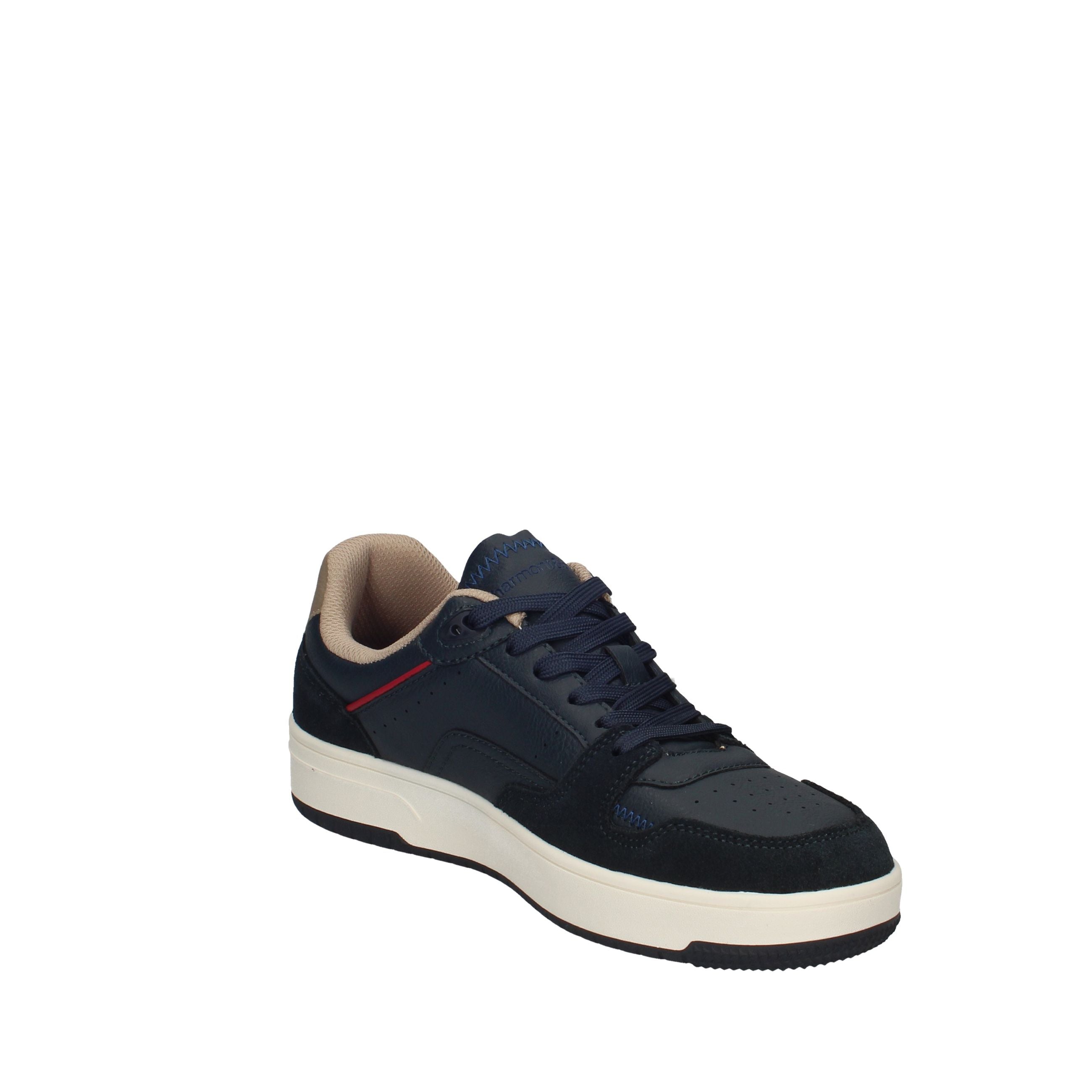 HARMONT&BLAINE  EFM262.001.AE0