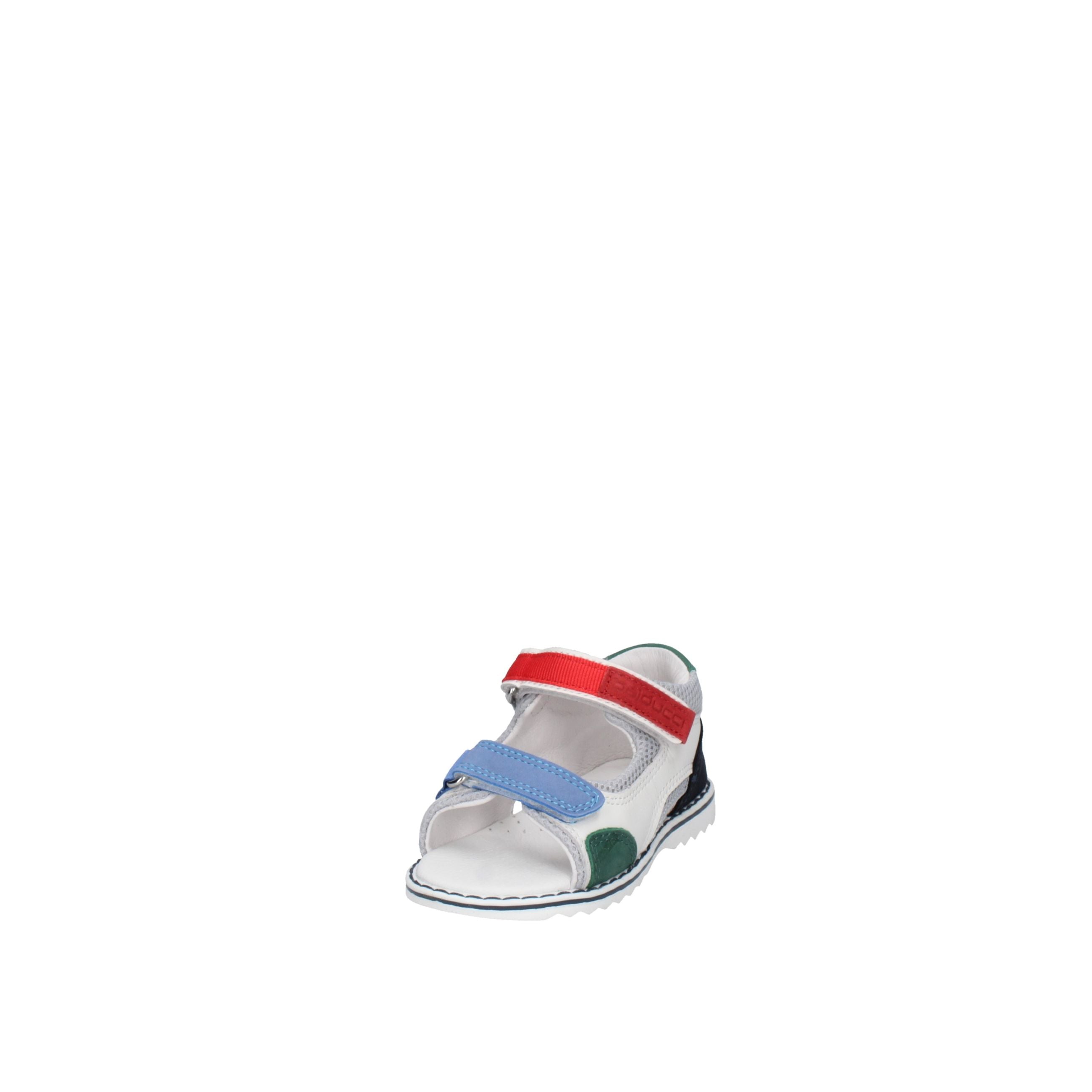 BALDUCCI  CITA7369