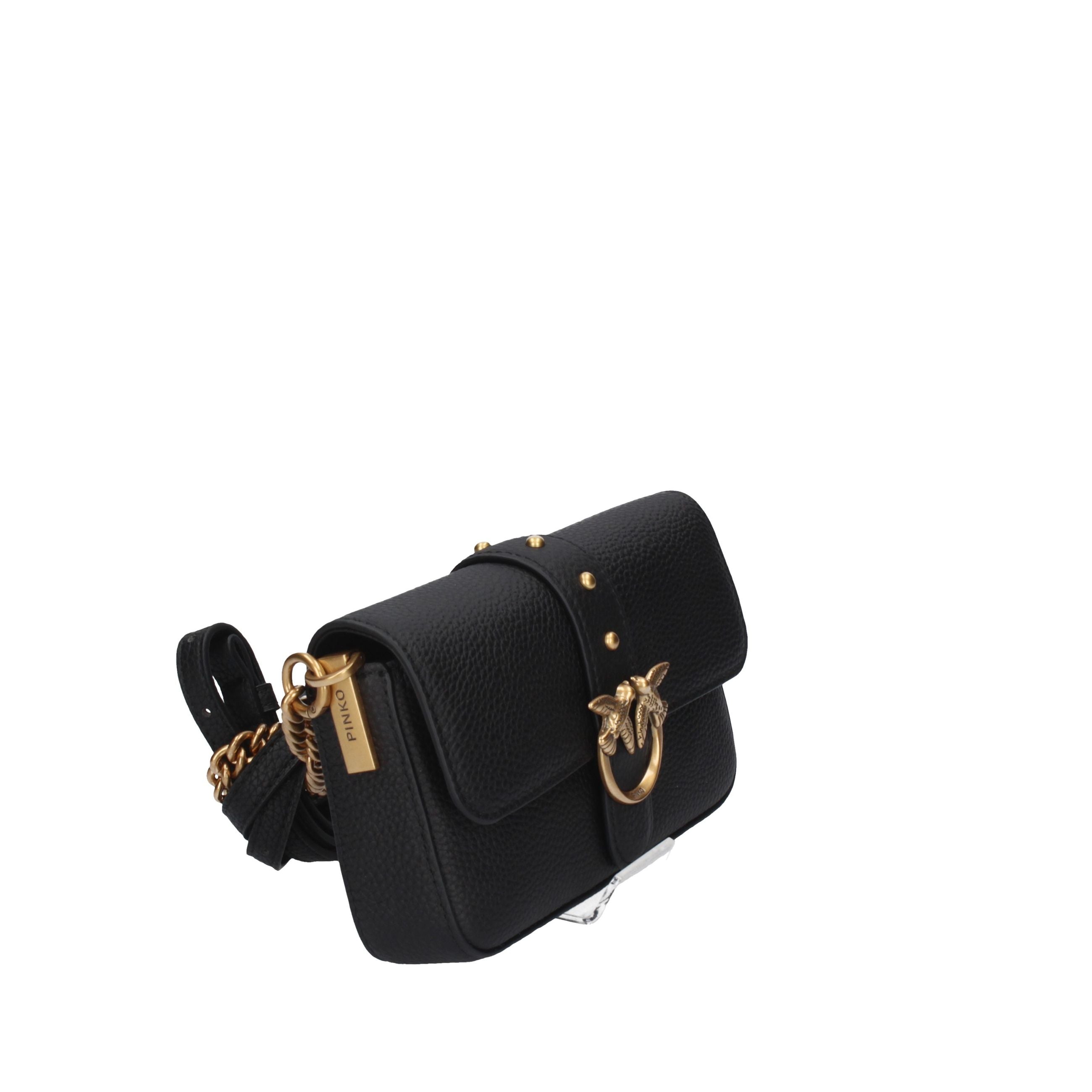 PINKO Piccola pelletteria 105353 A2OX NERO