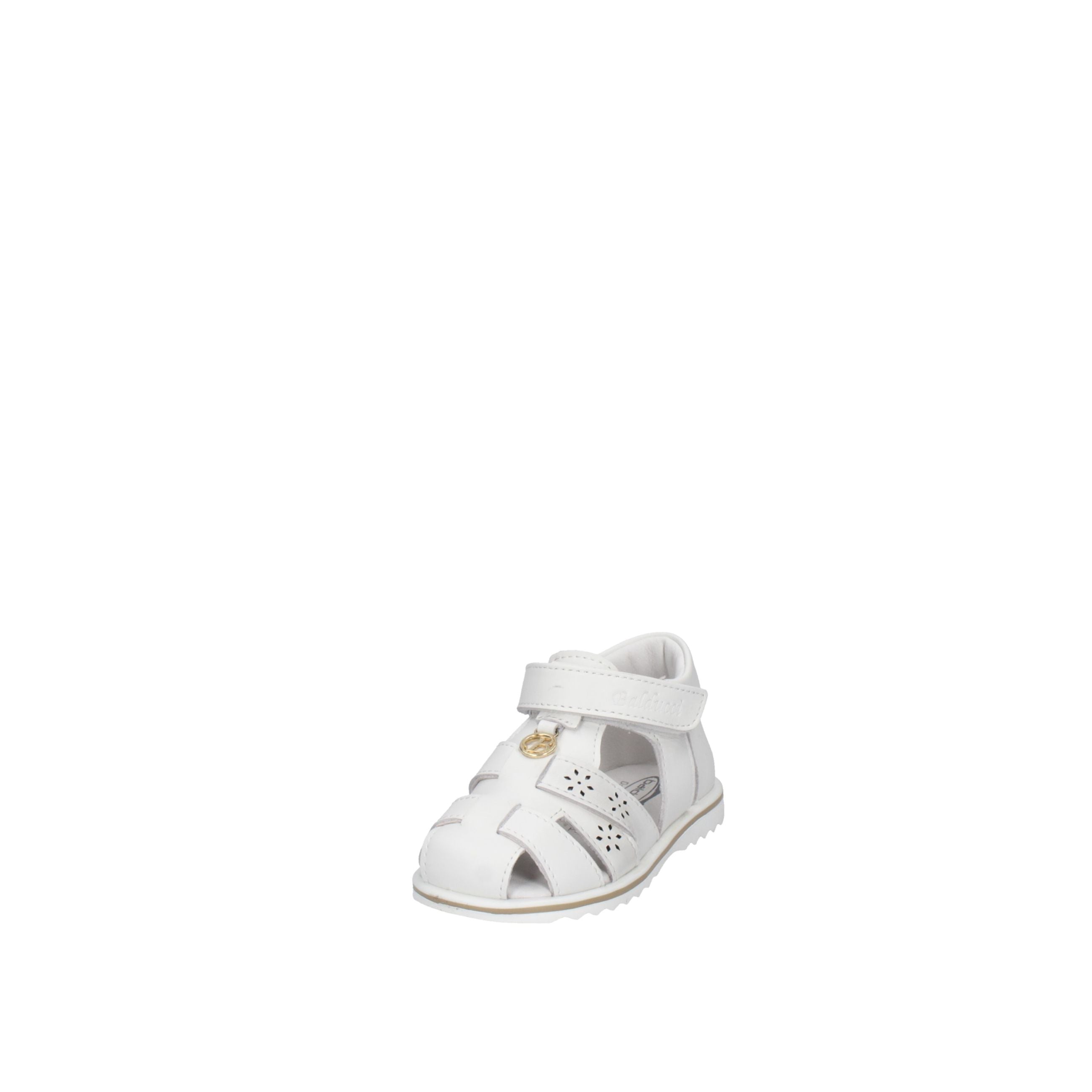 BALDUCCI  CITA7367