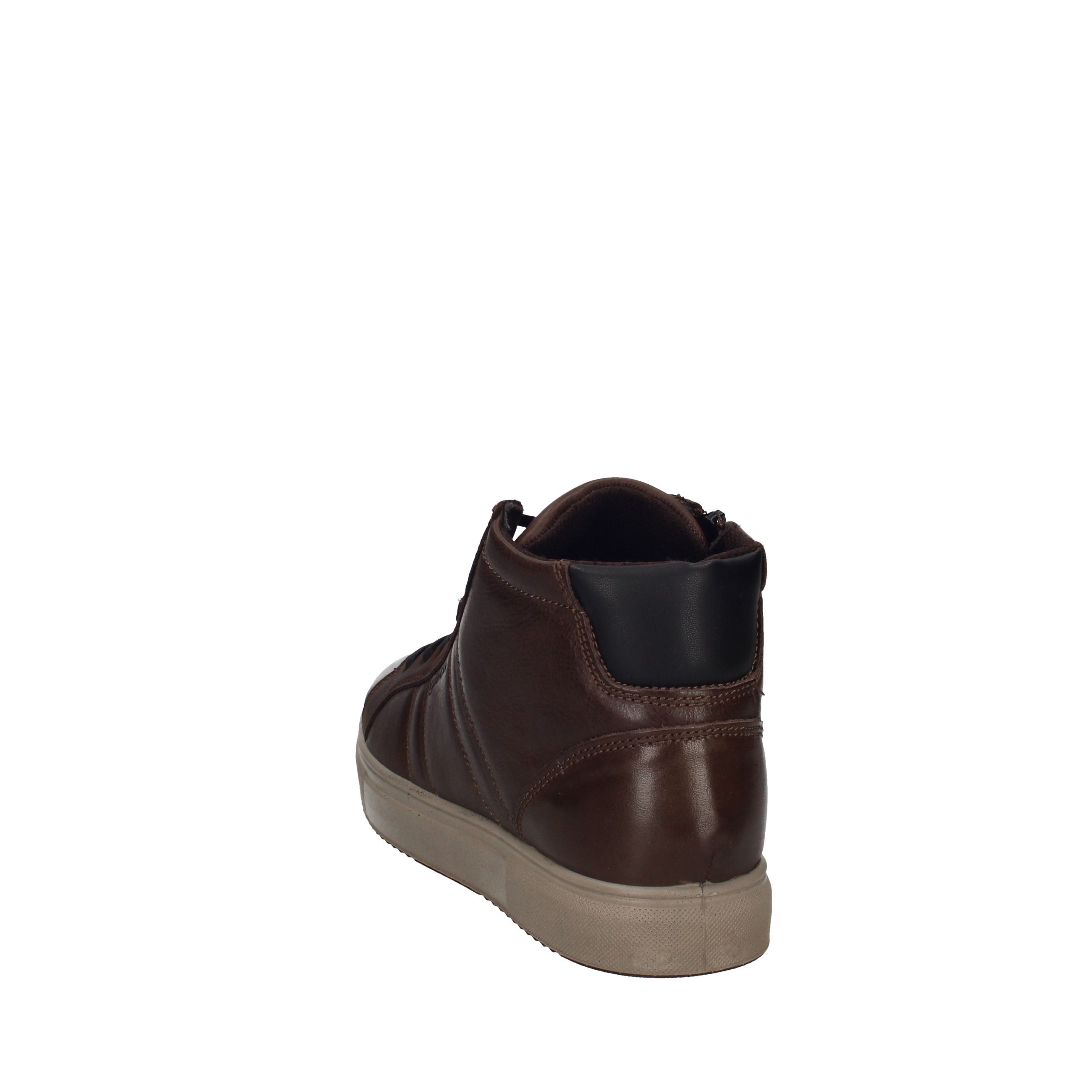 IGI&CO SACHA 2135422