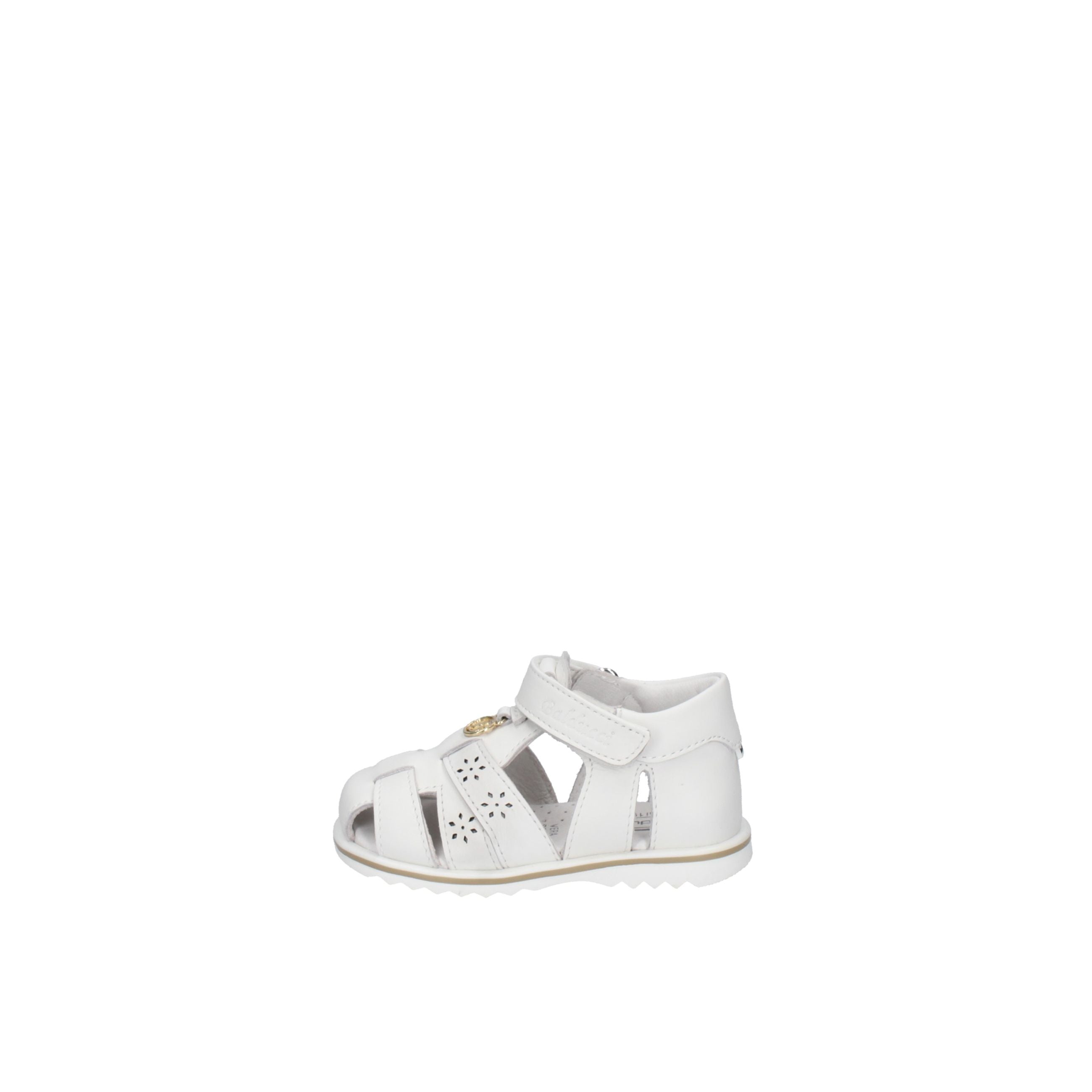 BALDUCCI  CITA7367