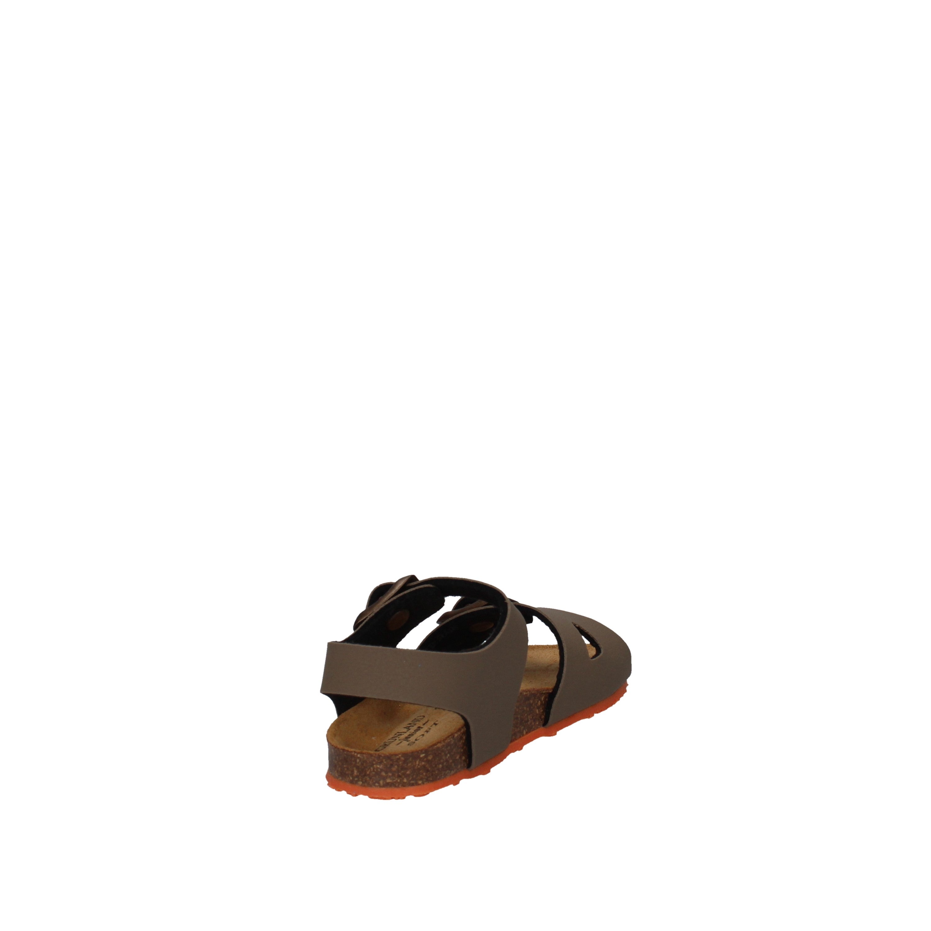 GRUNLAND  SB0413 Tortora