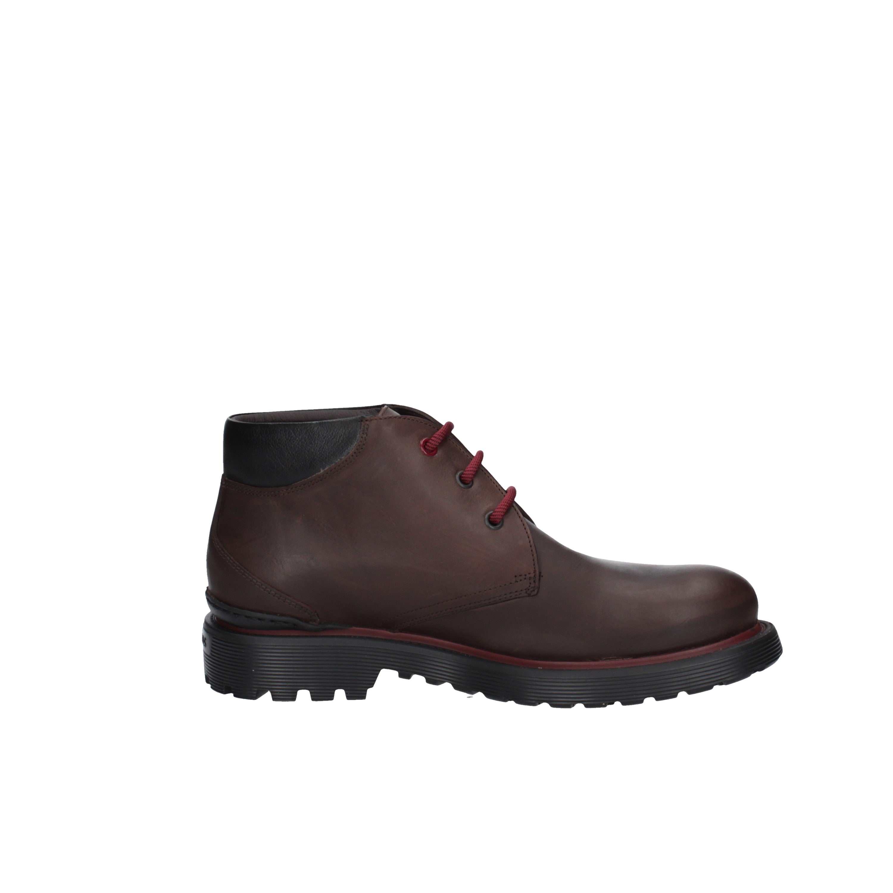 fluchos anfibio f0688