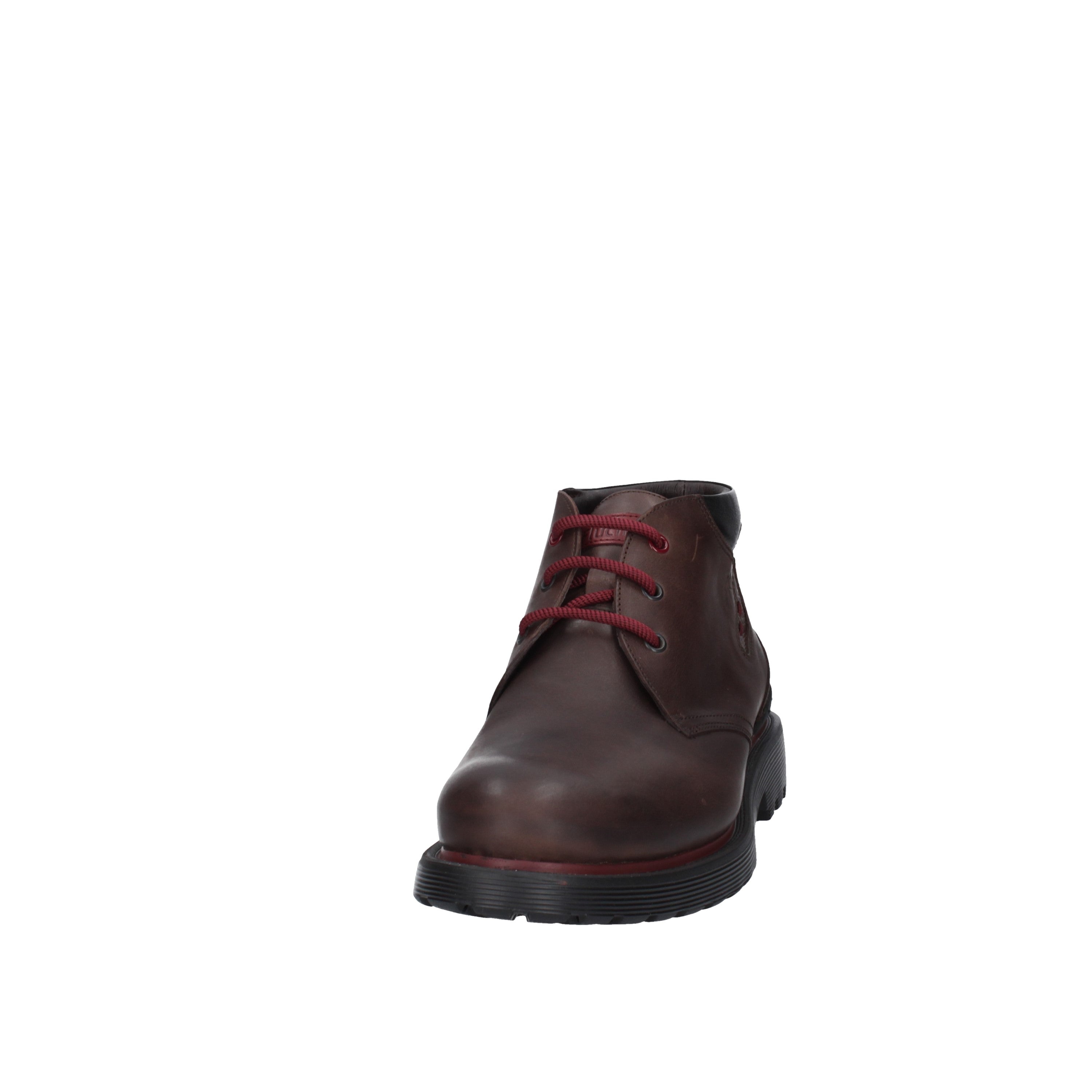 fluchos anfibio f0688