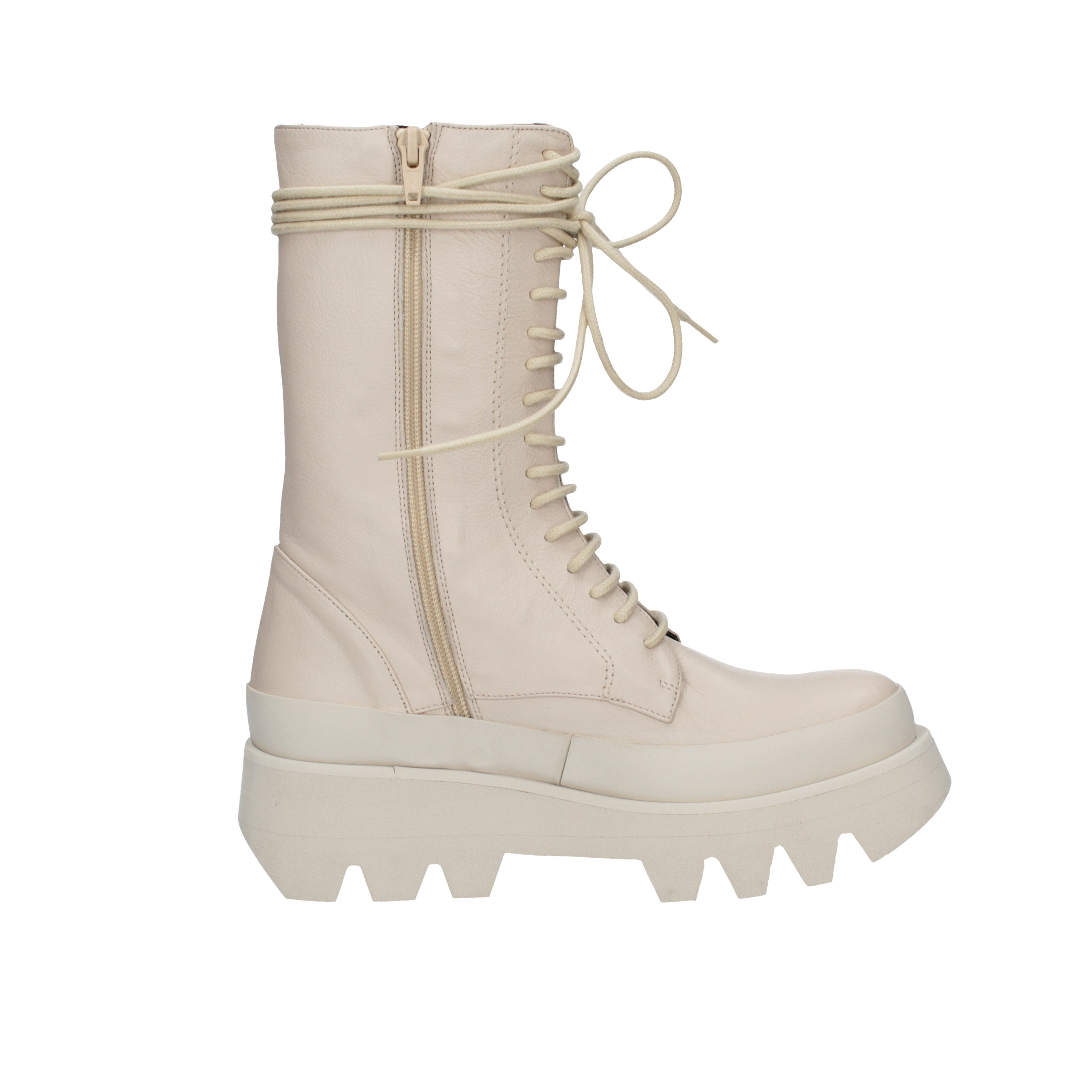 paloma barcelo' anfibio helsa