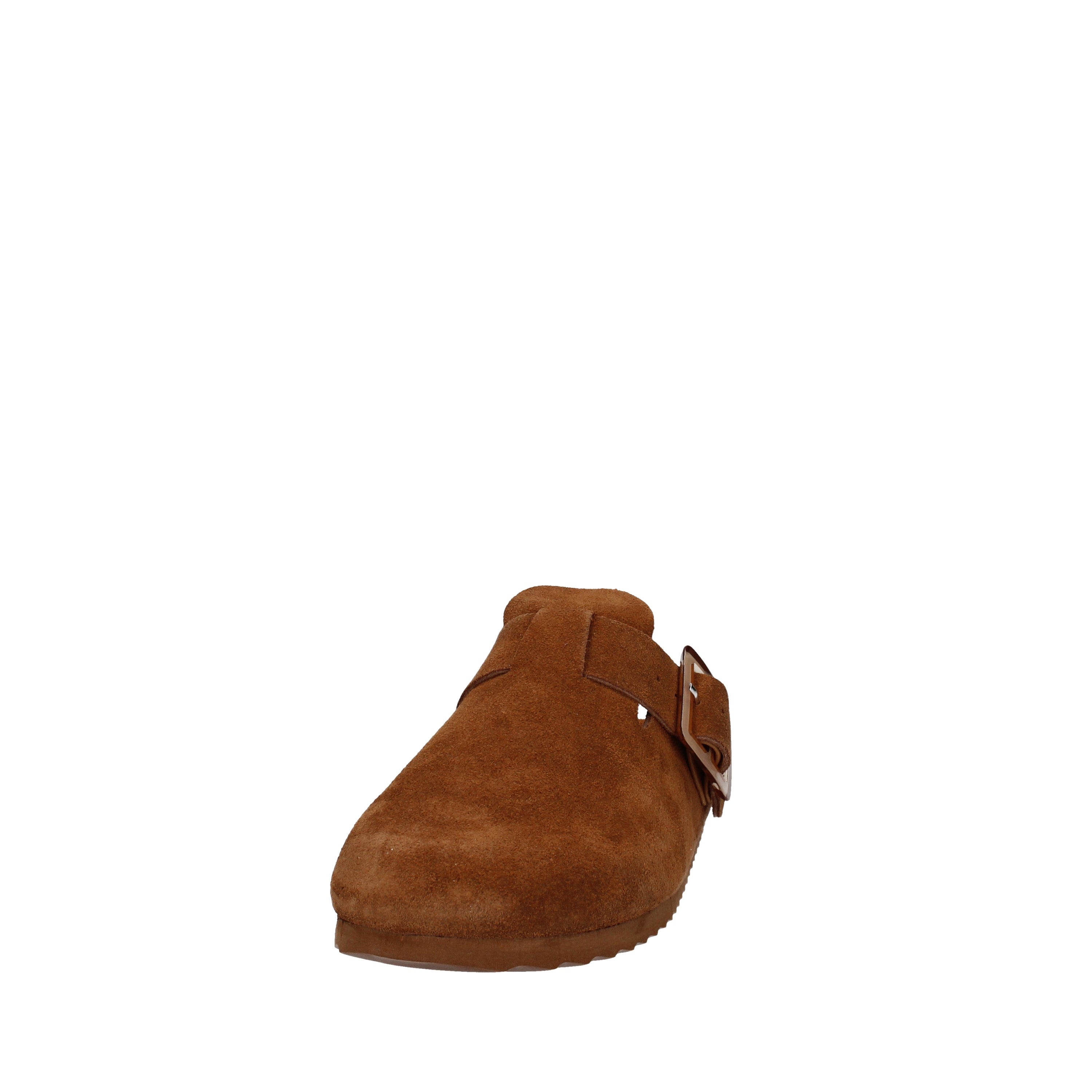 COLORS OF CALIFORNIA  HC.BIO086N
