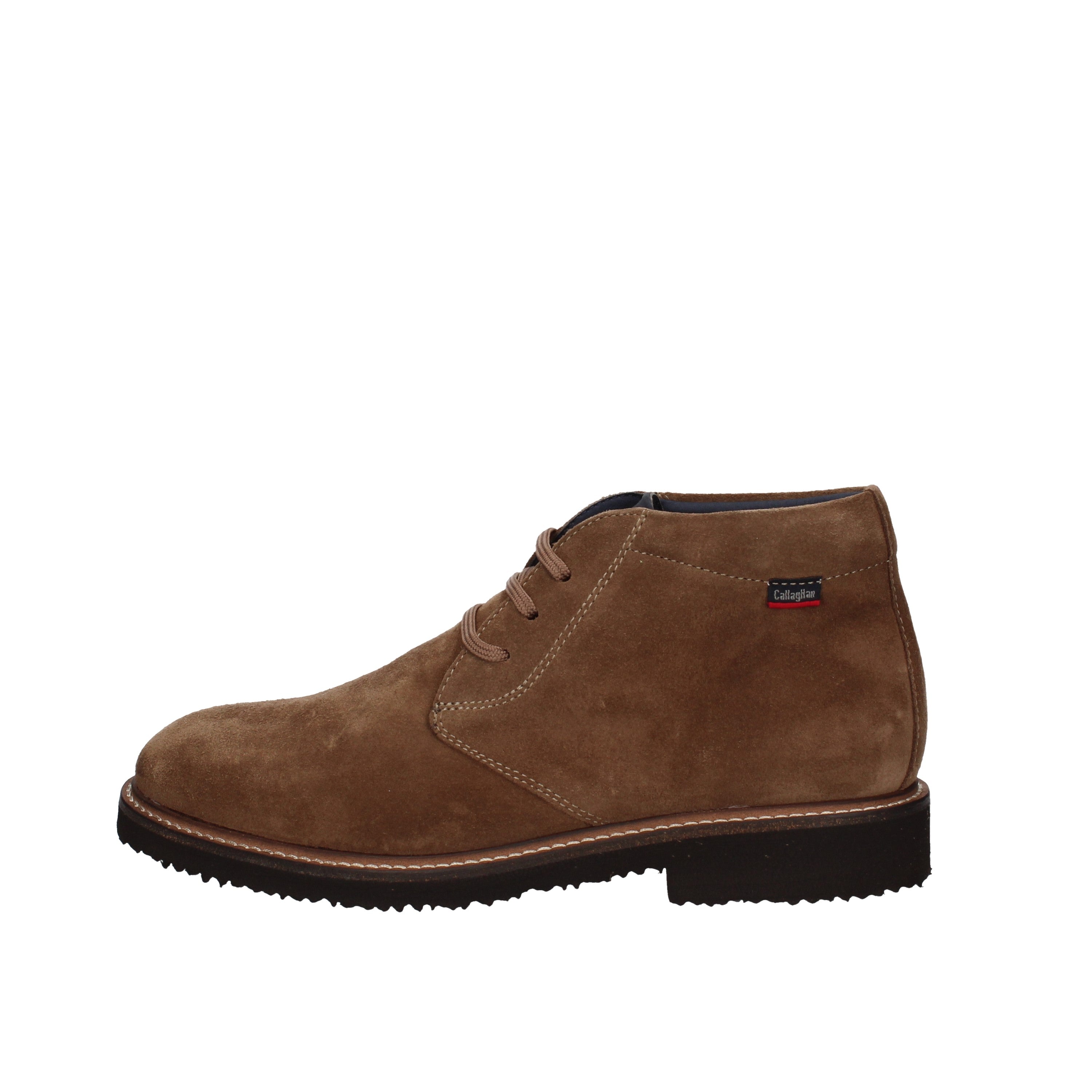 callaghan polacchino 19701