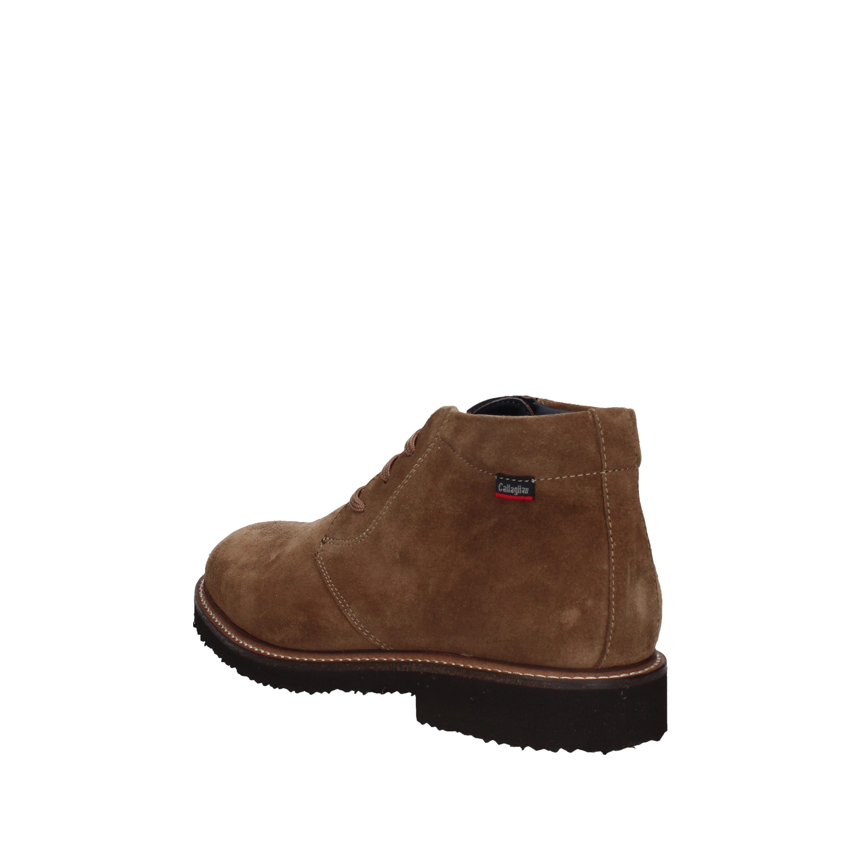 callaghan polacchino 19701